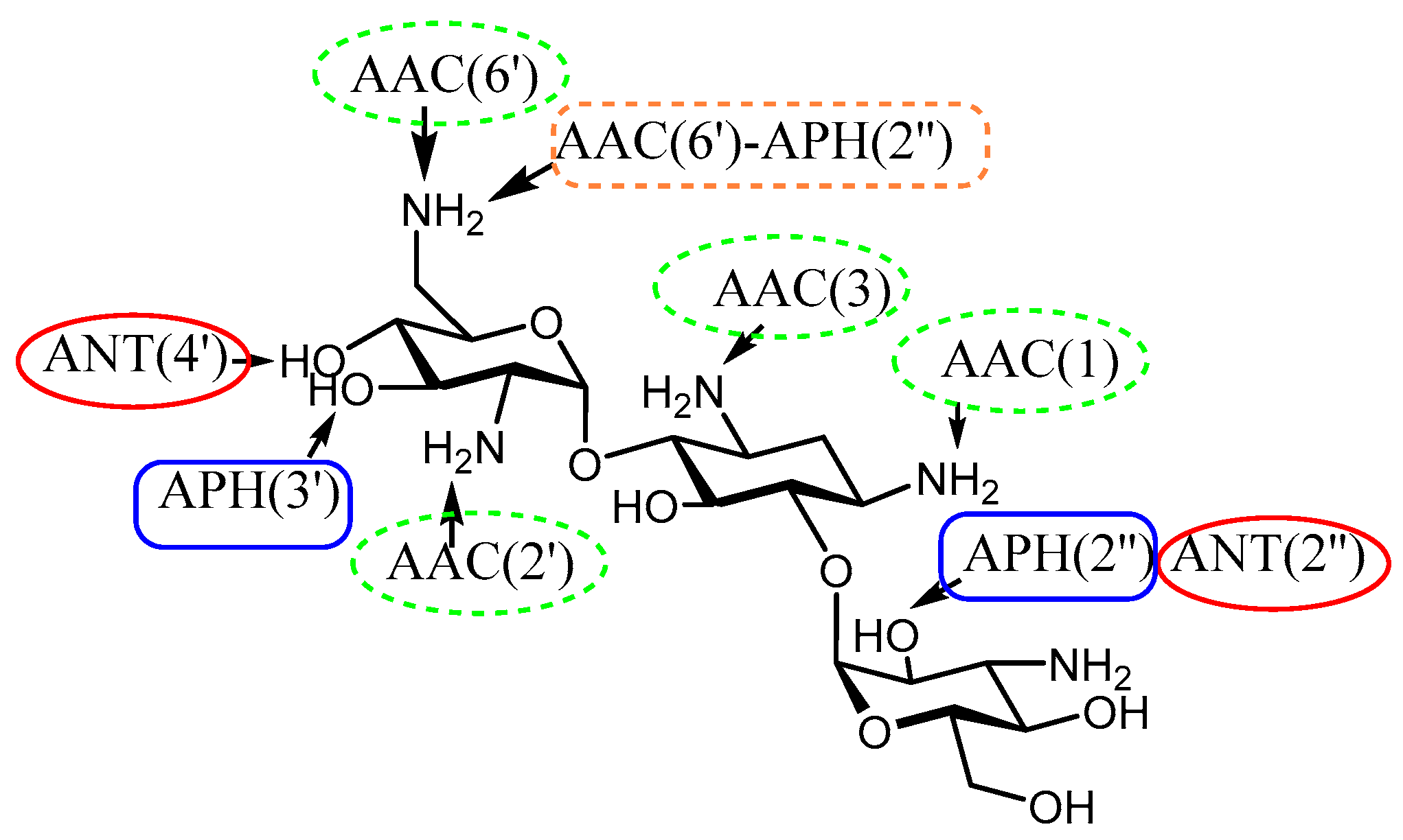 Molecules 23 00284 g001