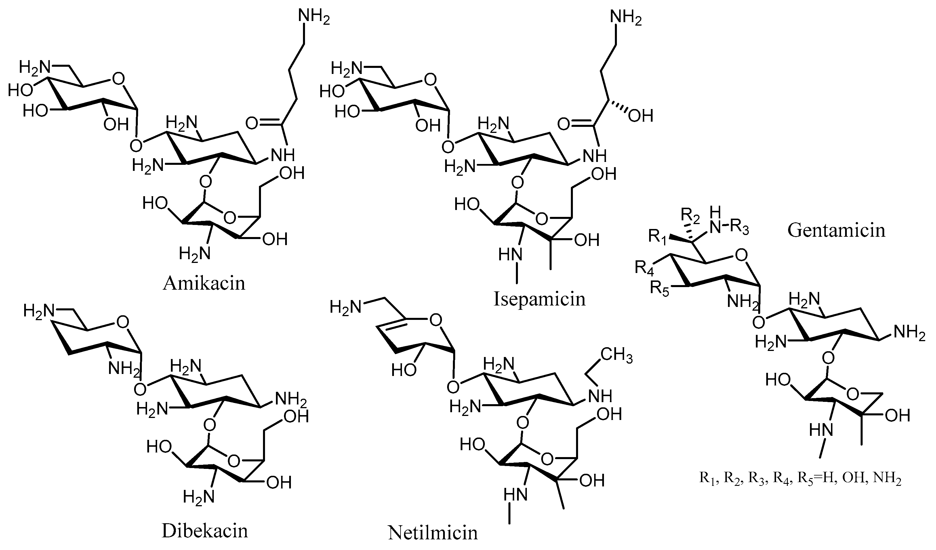 Molecules | Free Full-Text | Overcoming Aminoglycoside Molecules | Free Full-Text | Overcoming Aminoglycoside