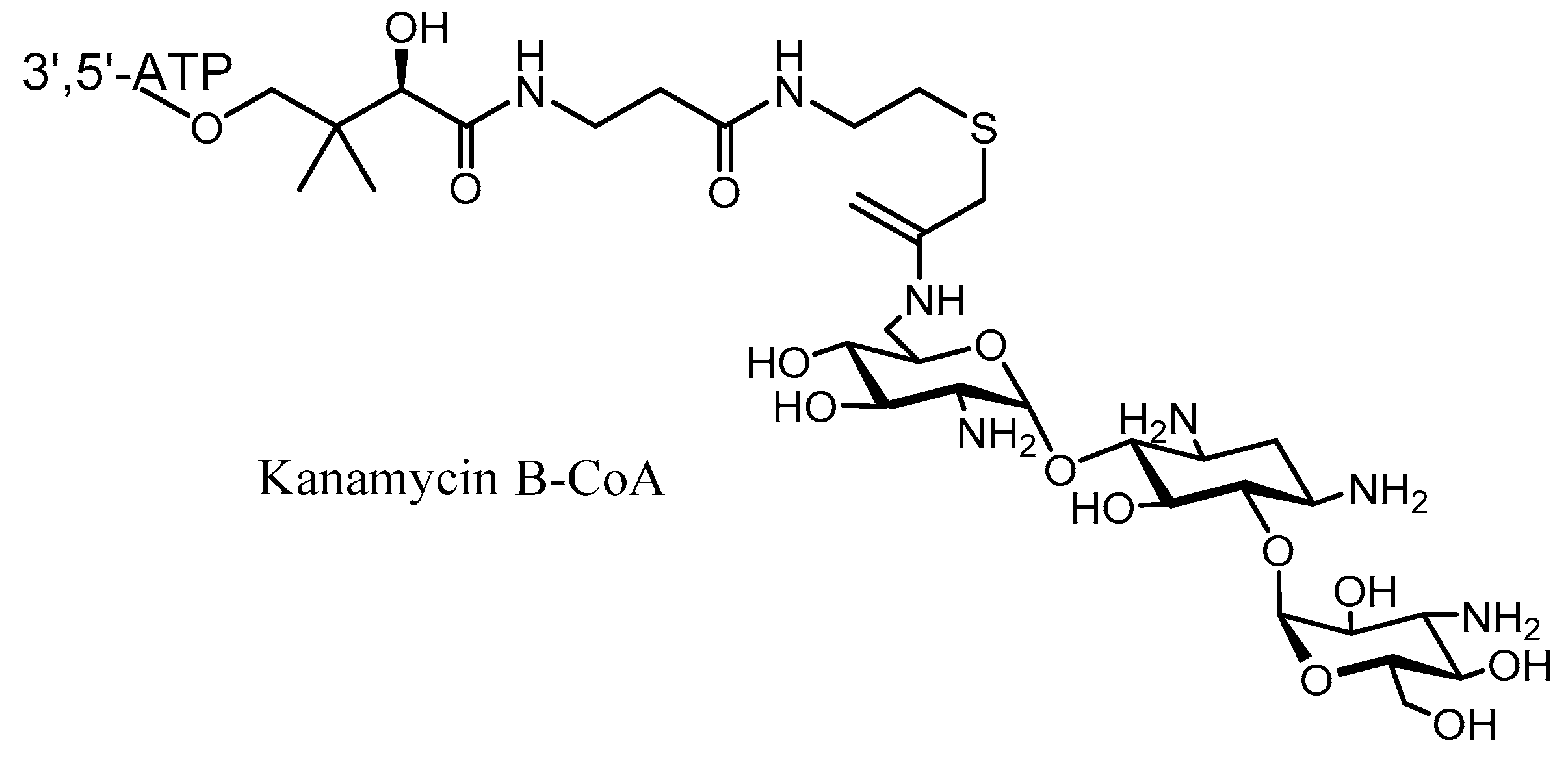 Molecules 23 00284 g010