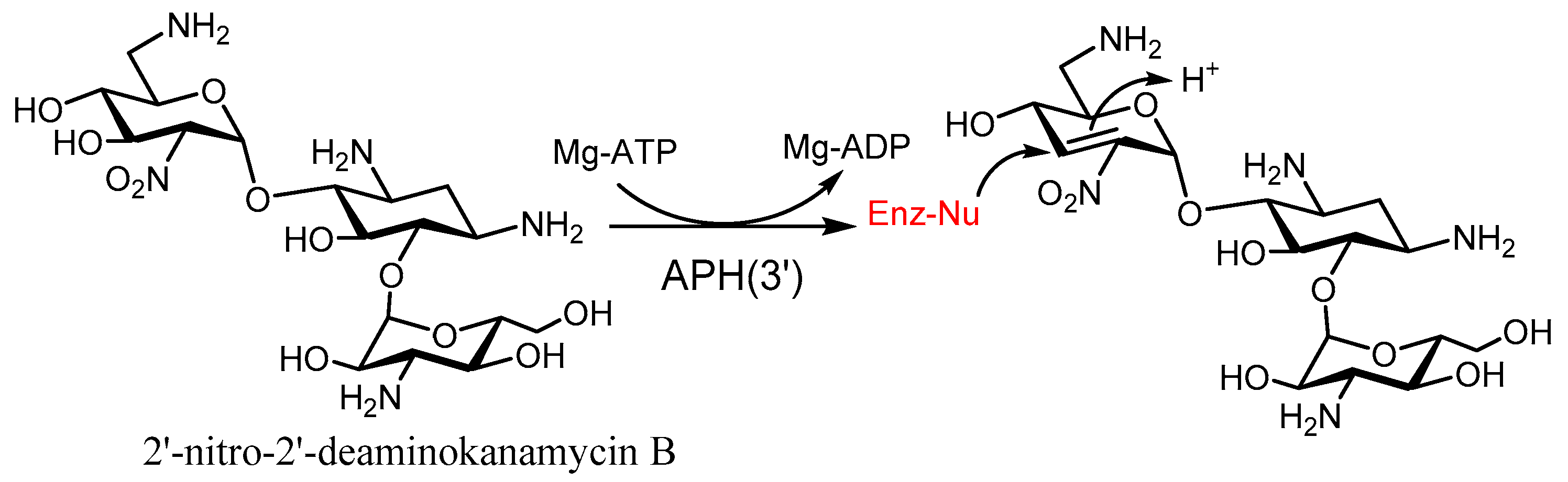 Molecules 23 00284 g012