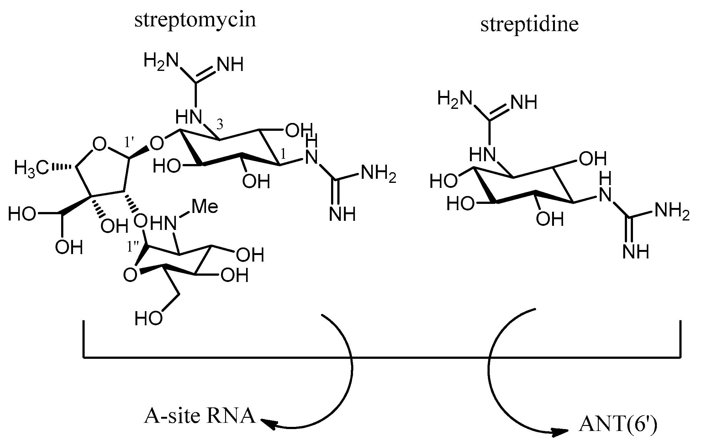 Molecules 23 00284 g015