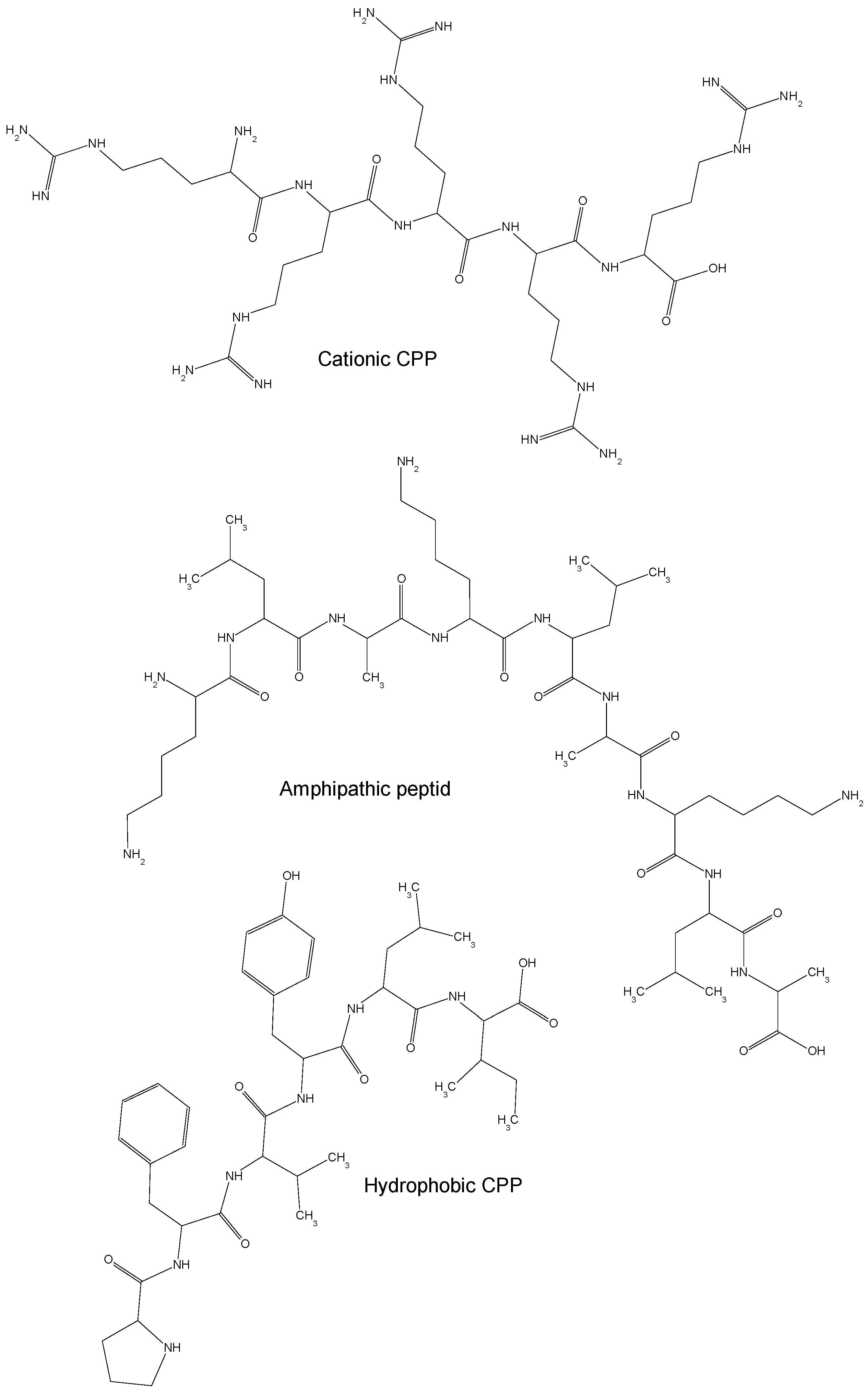 Molecules 23 00295 g001