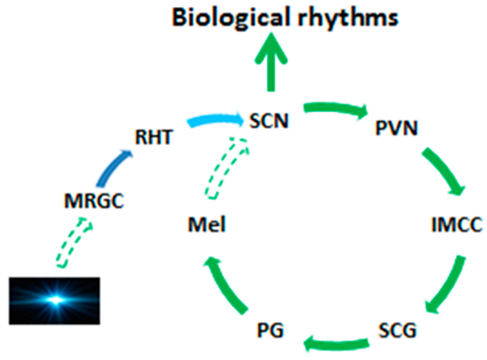 Molecules 23 00301 g001