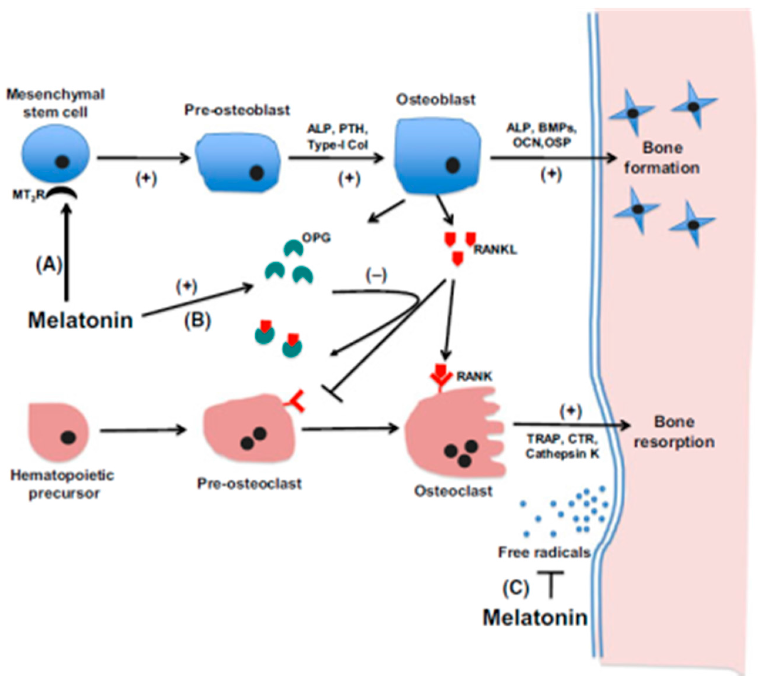 Molecules 23 00301 g004