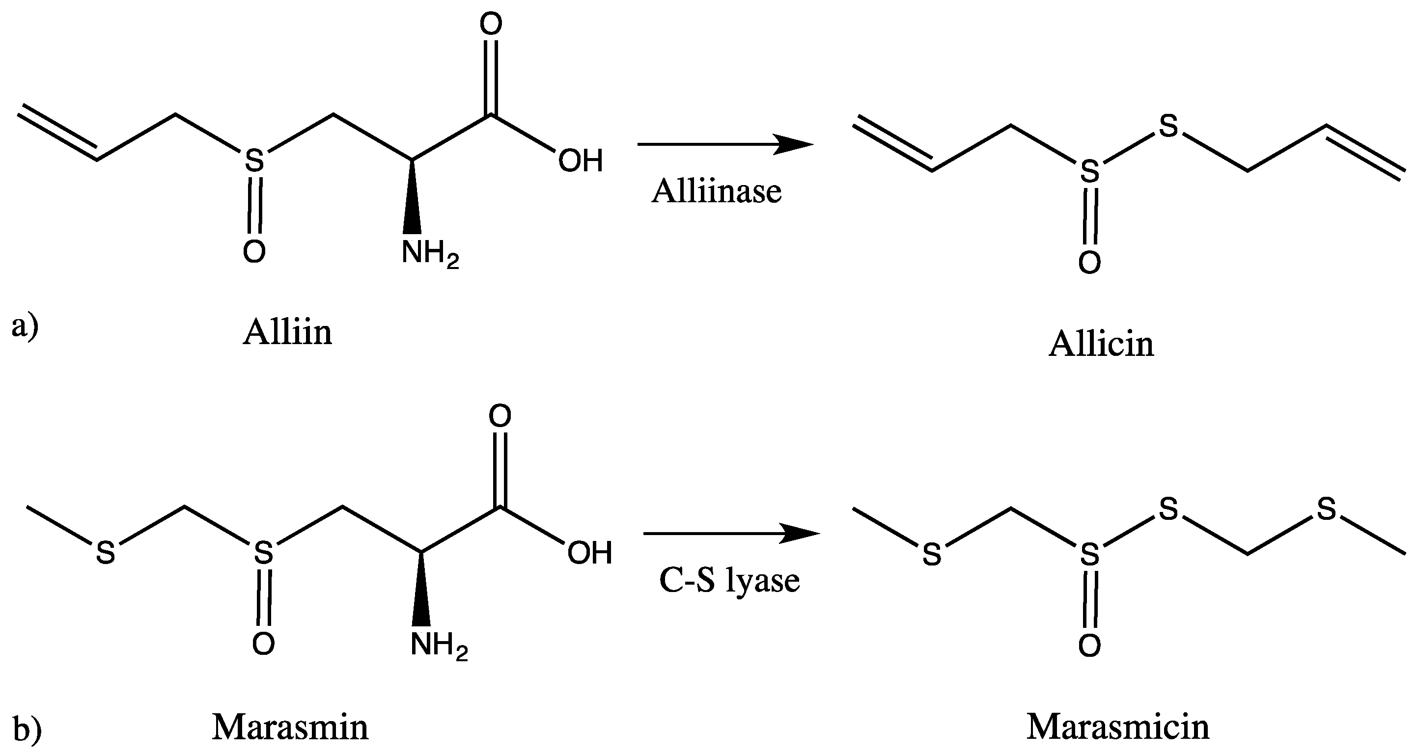 Molecules 23 00313 g001