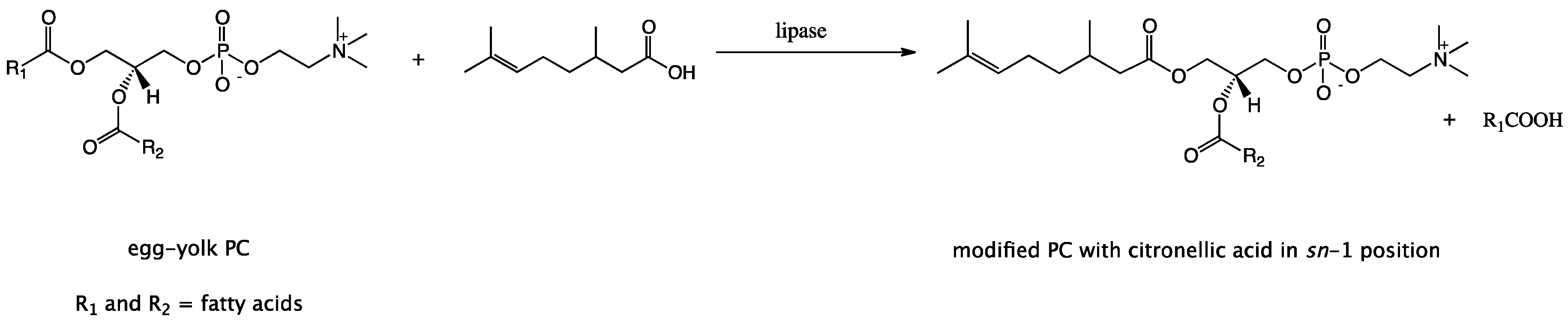 Molecules 23 00314 g001