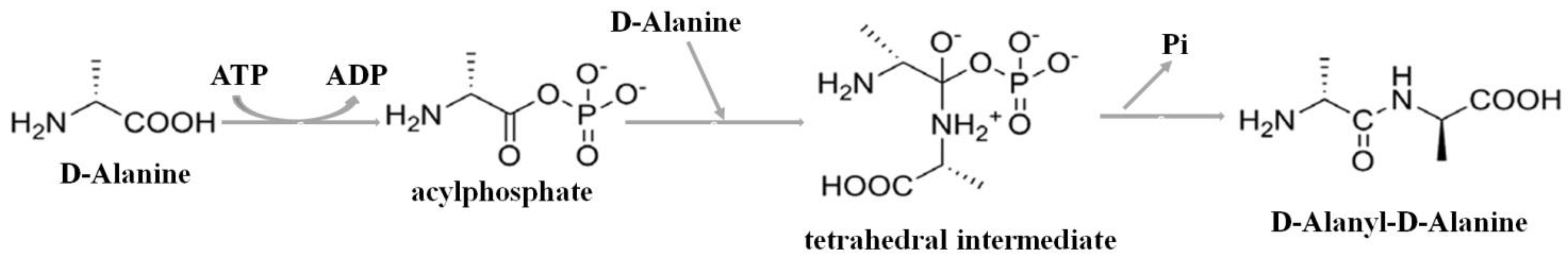 Molecules 23 00324 g001