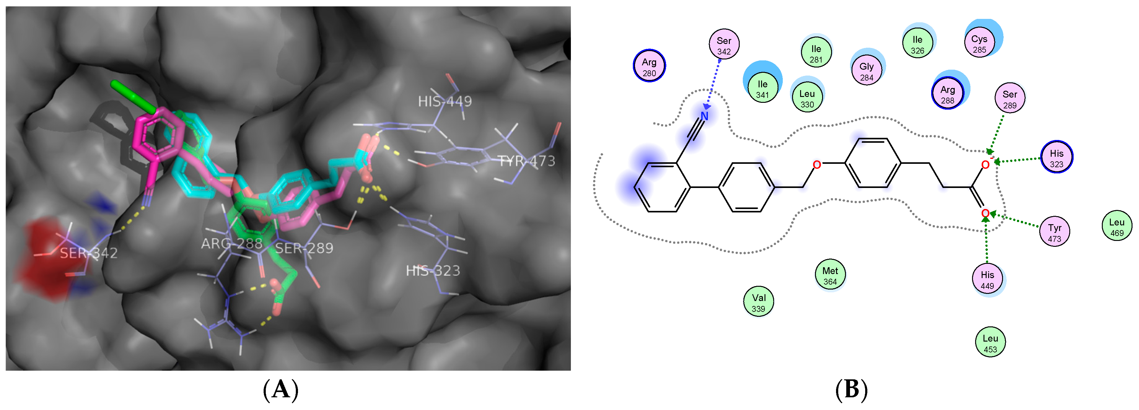 Molecules 23 00340 g003