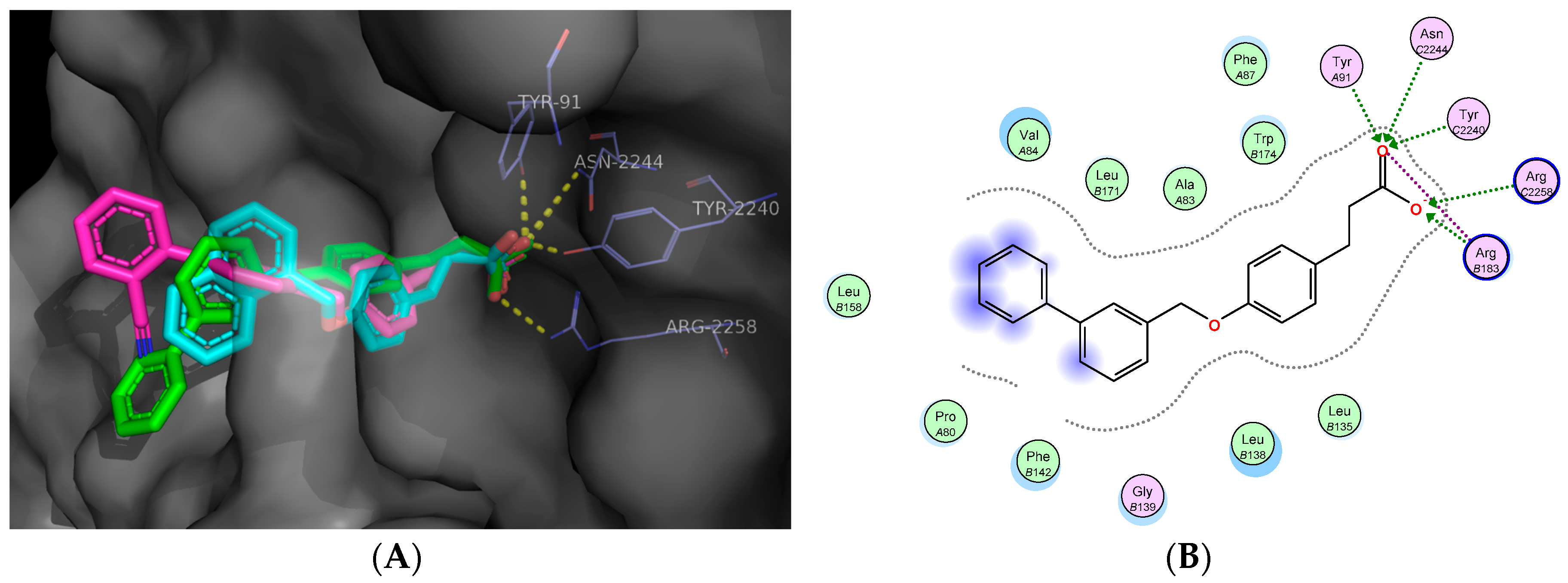 Molecules 23 00340 g004