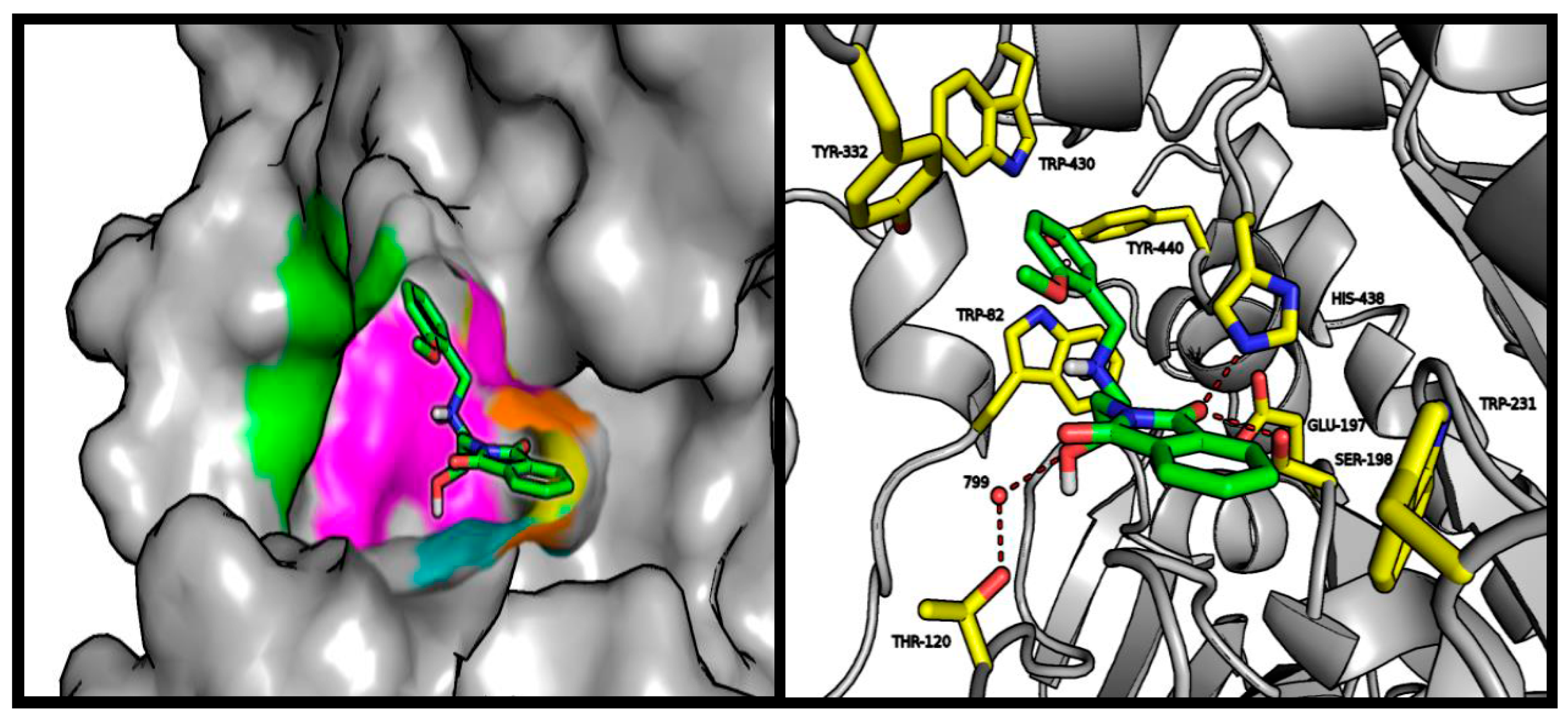 Molecules 23 00347 g004