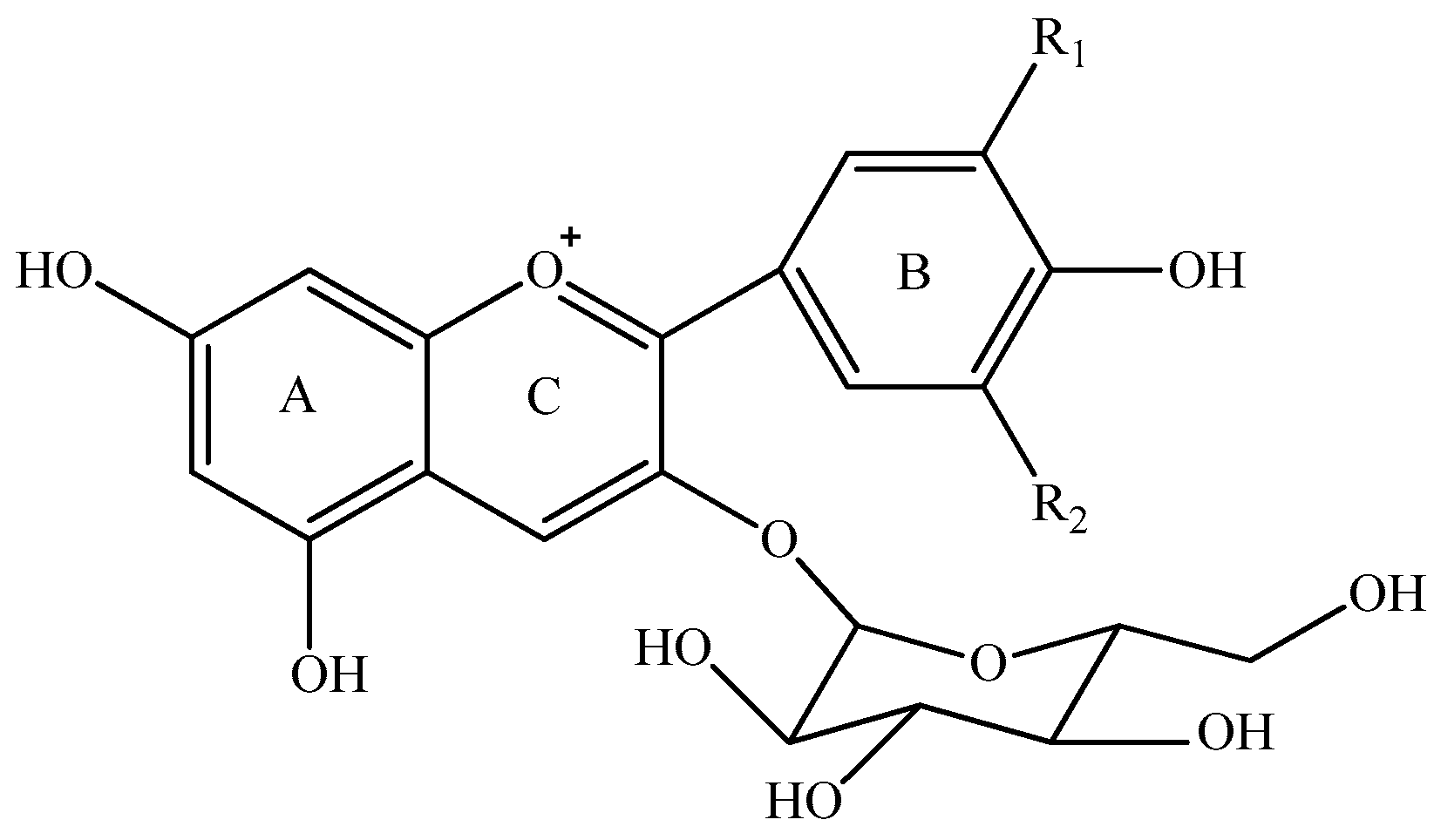 Molecules 23 00354 g001