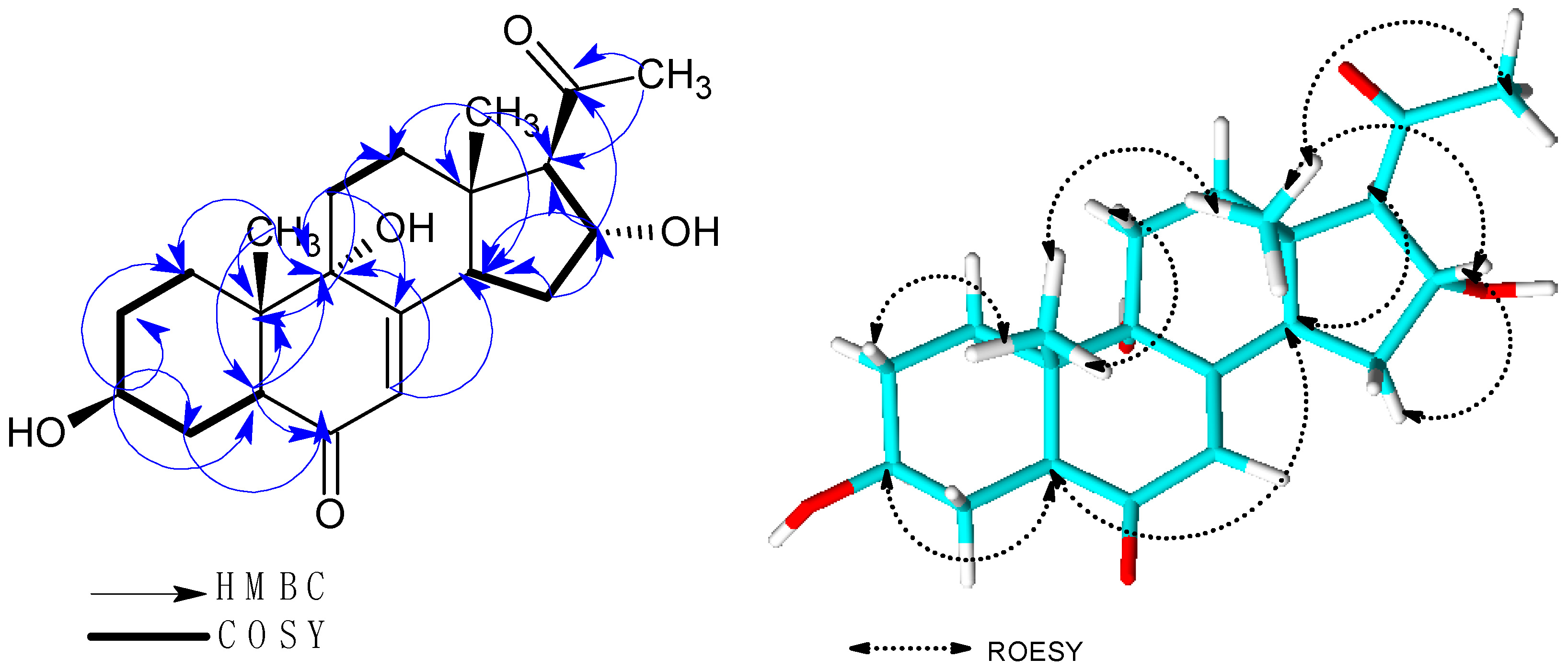 Molecules 23 00369 g002