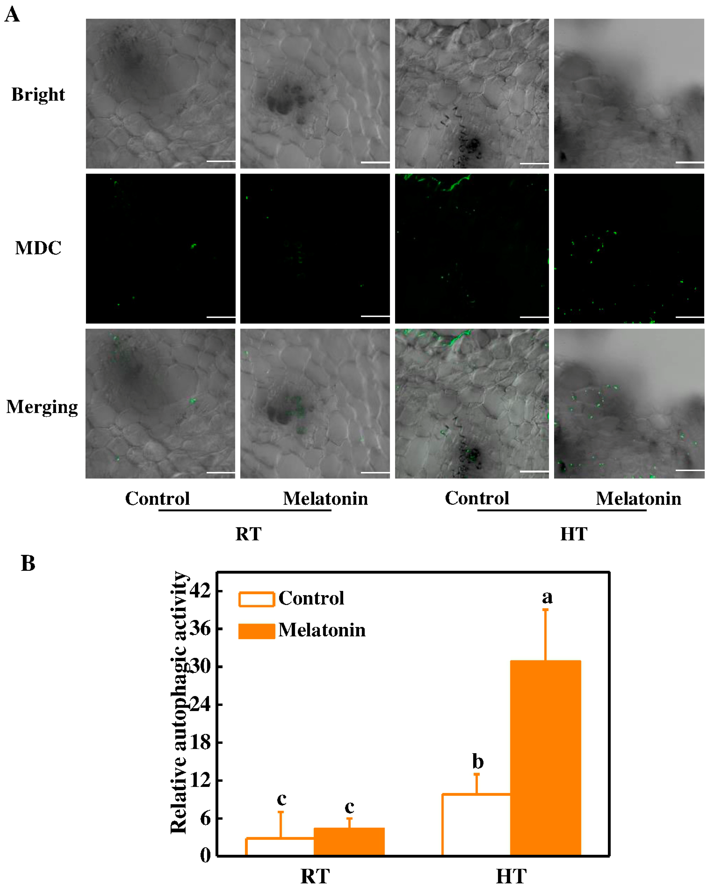 Molecules 23 00386 g007 Molecules 23 00386 g007