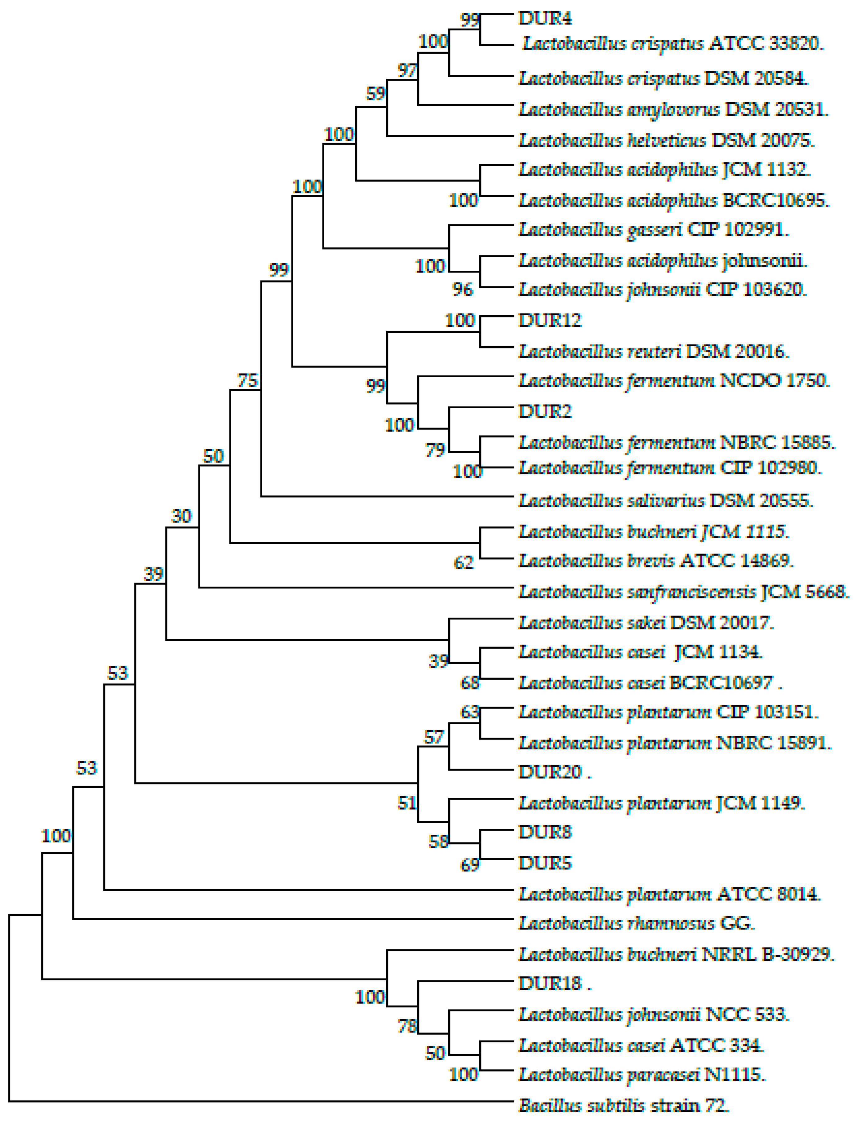 Molecules Free FullText Probiotic Properties of Exopolysaccharide