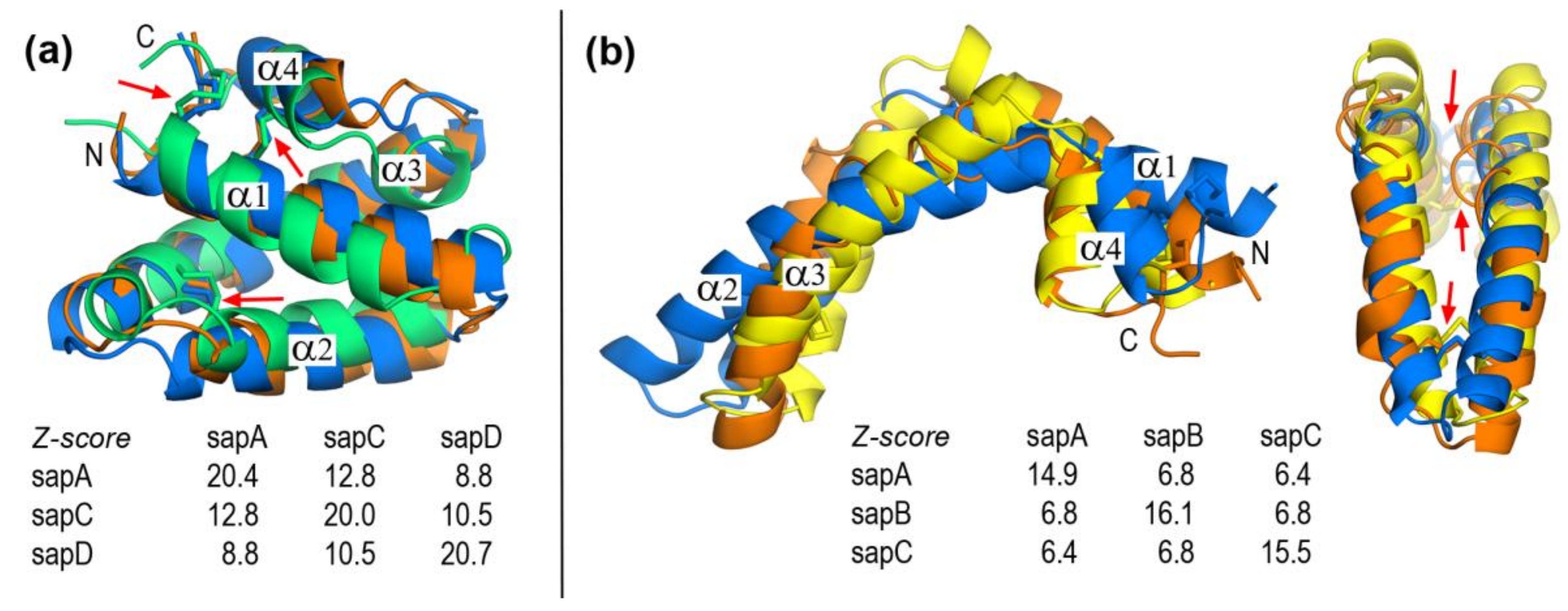 molecules free full text a comparative study of human saposins which of the following molecules could align side by side to form a lipid bilayer
