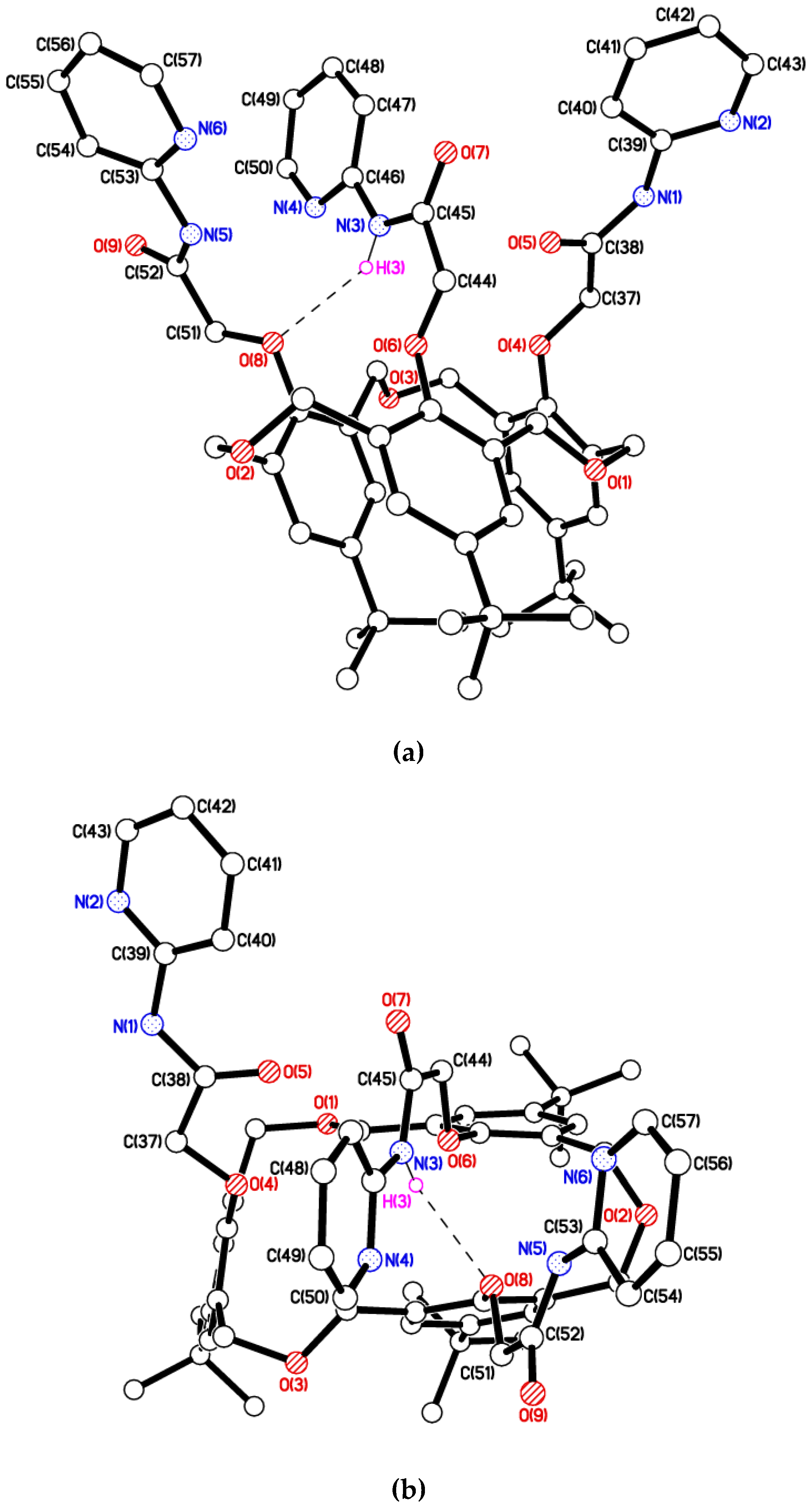Molecules 23 00467 g001