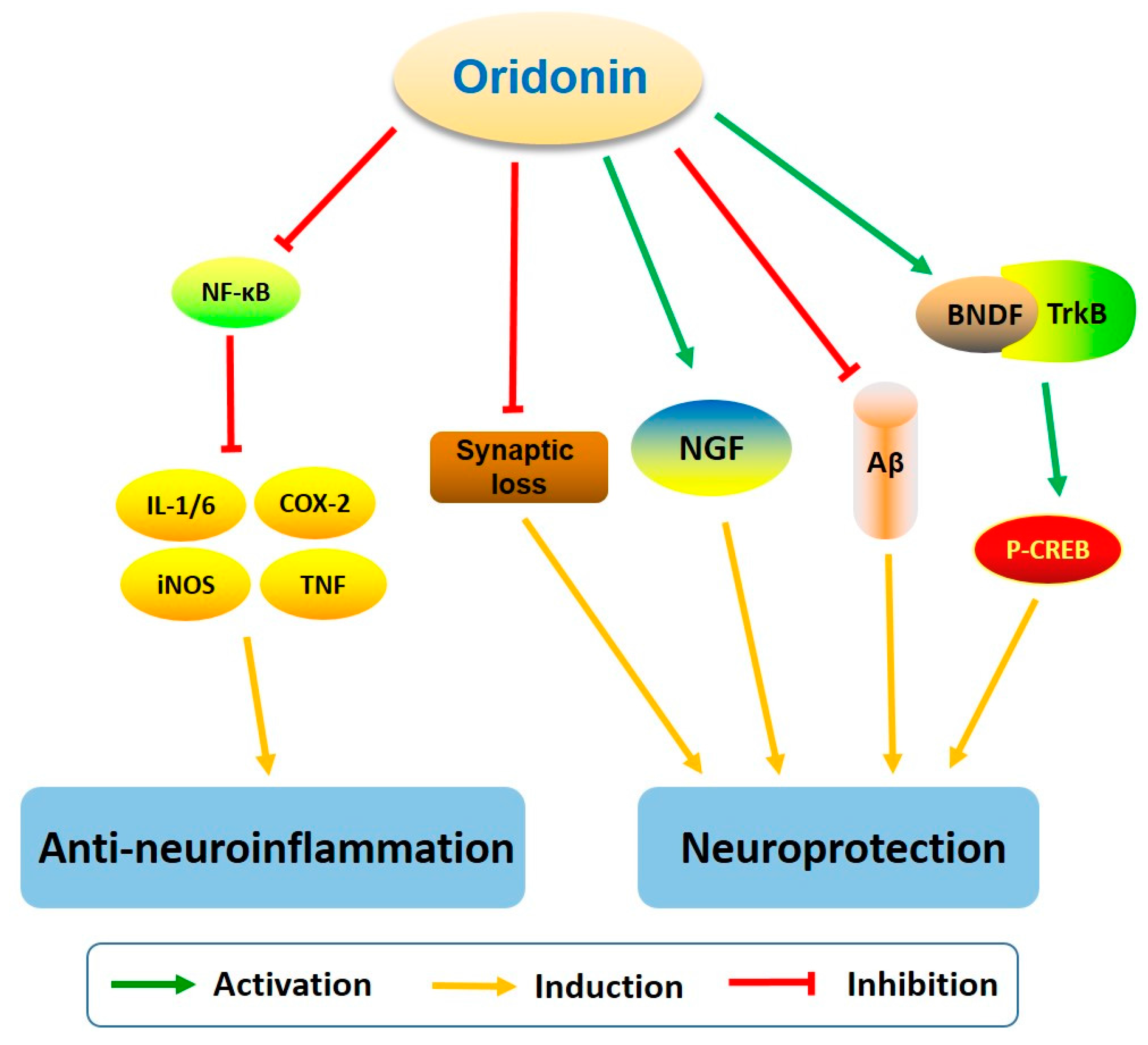 Molecules 23 00474 g007