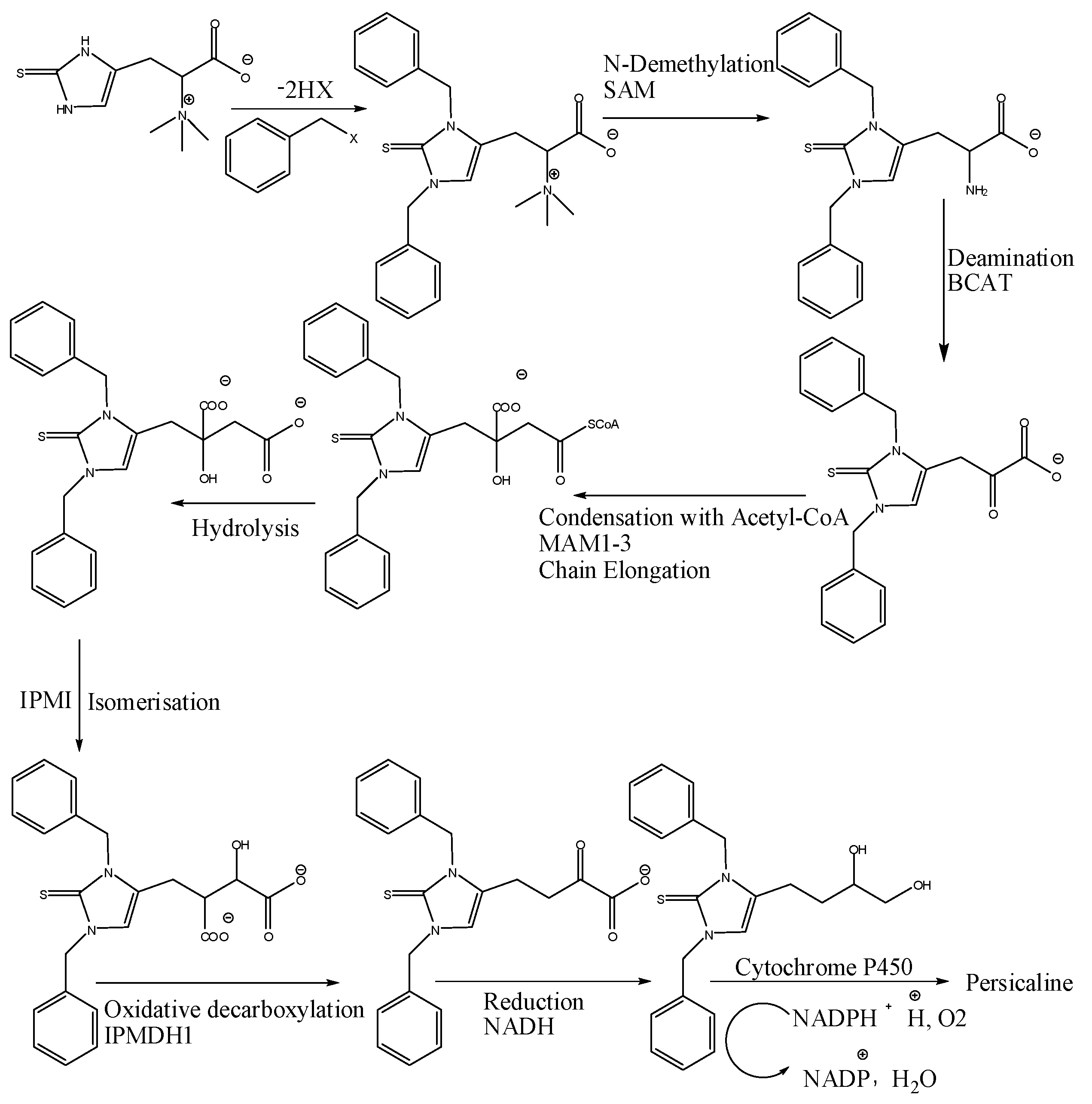 Molecules 23 00483 g003