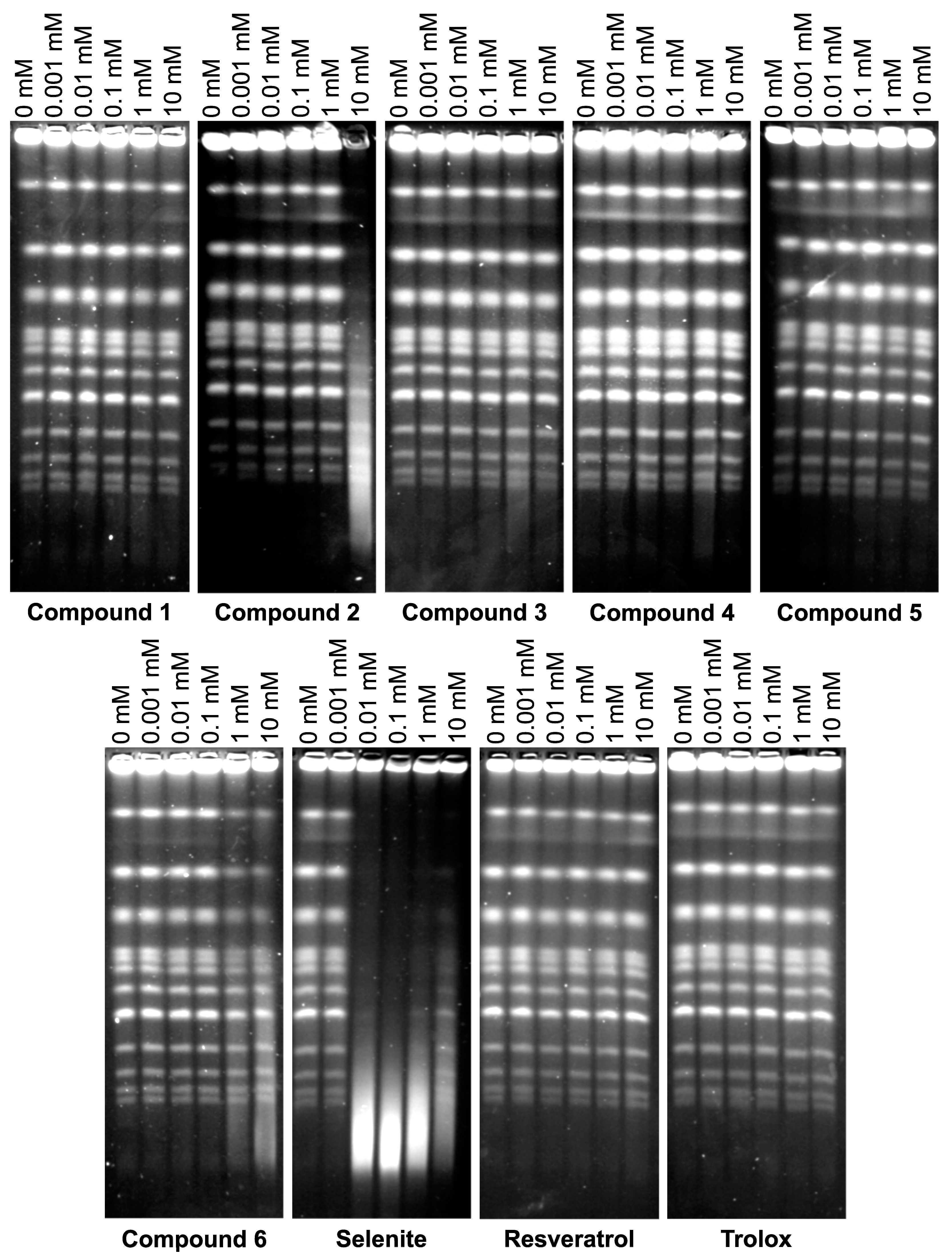 Molecules 23 00507 g004 Molecules 23 00507 g004
