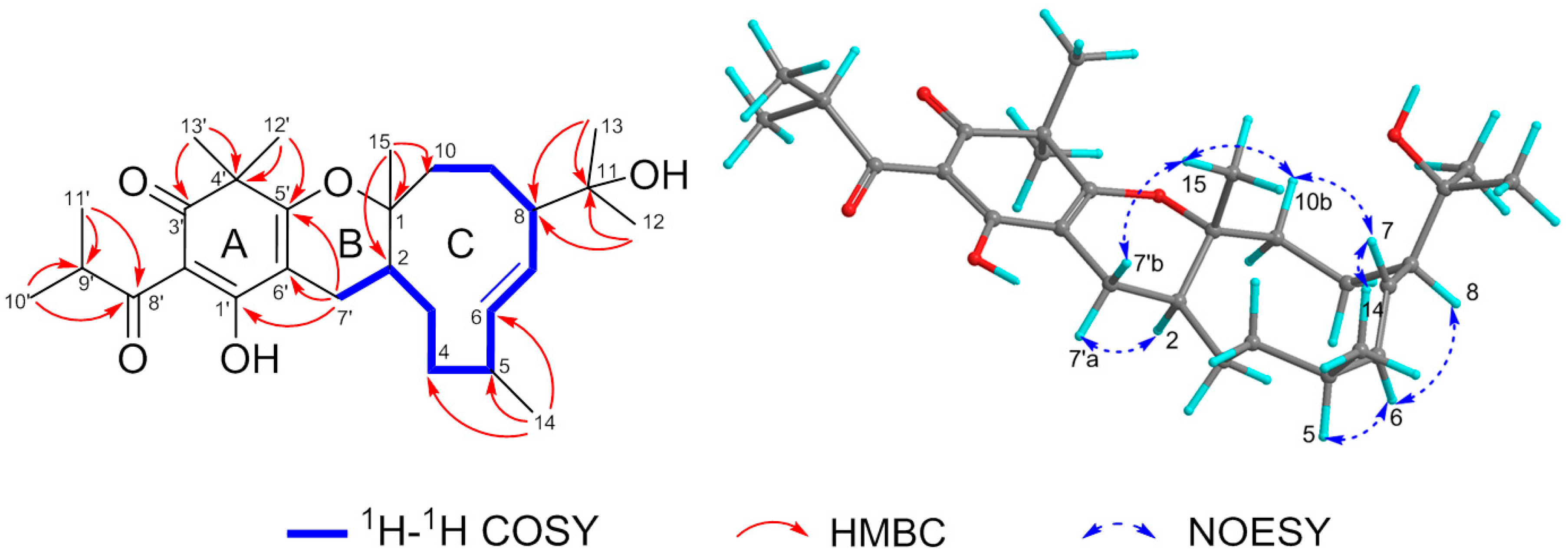 Molecules 23 00683 g002