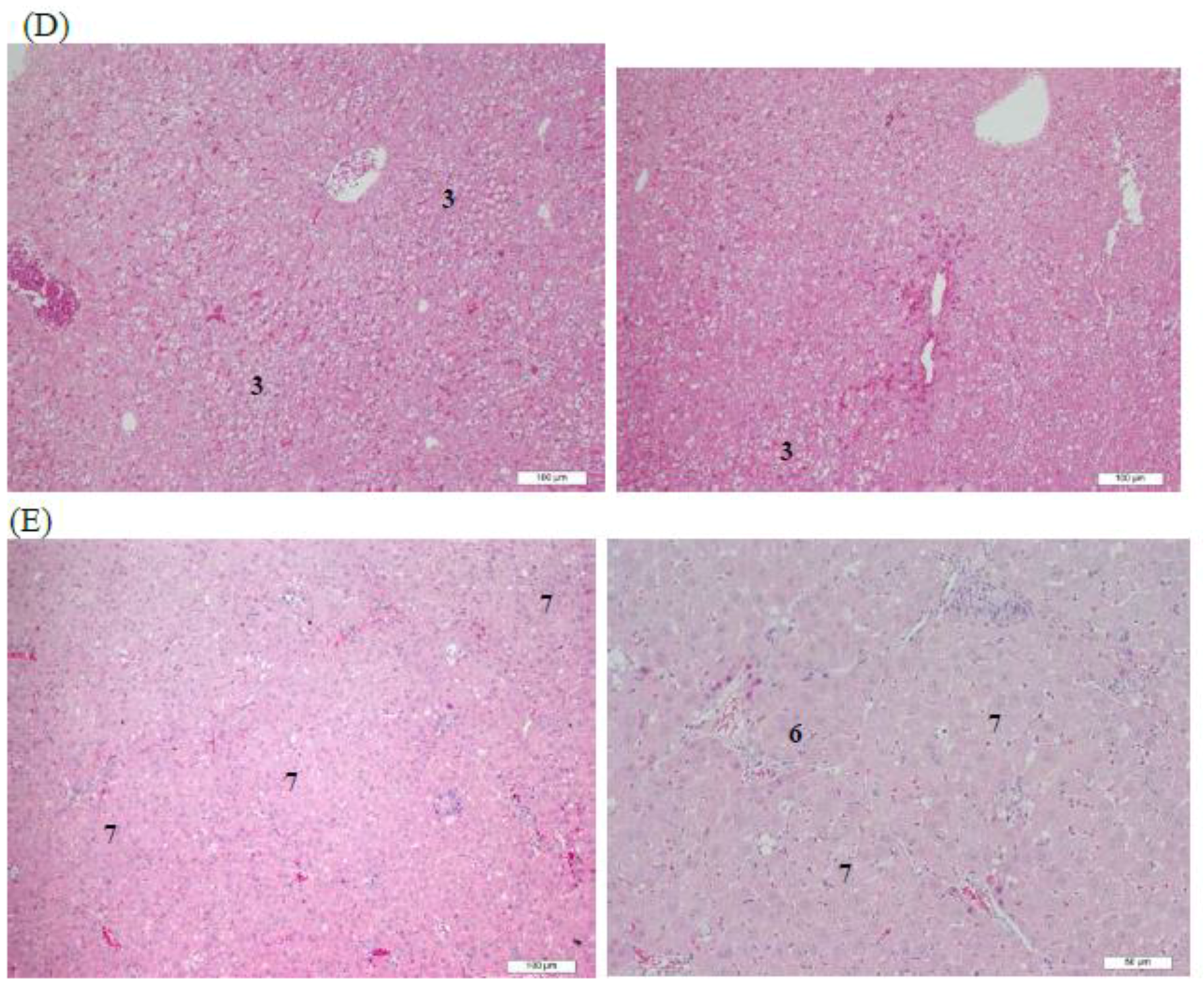Molecules 23 00726 g005b