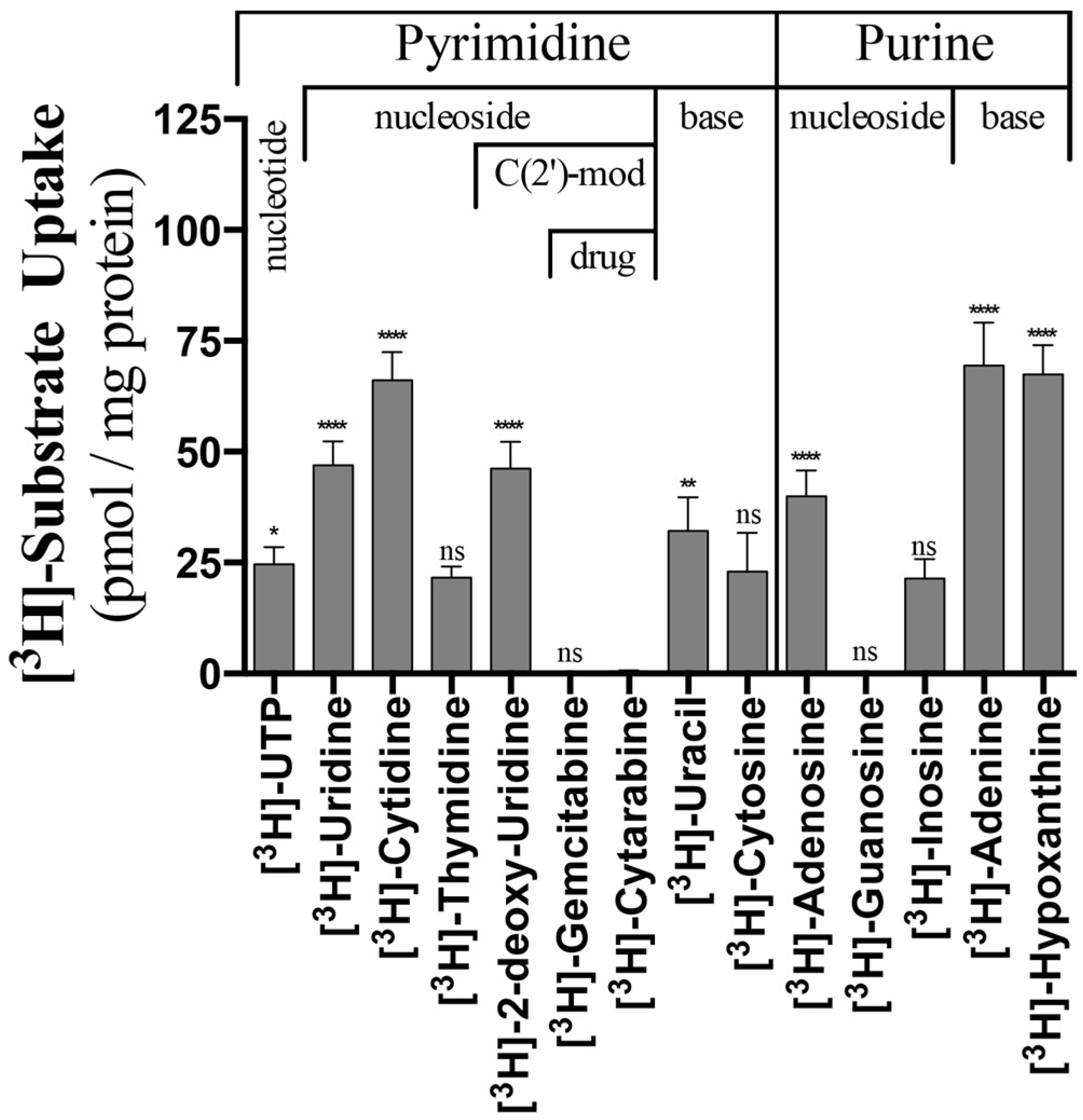 molecules free full text functional characterization of the select the highest energy form of adenosine from the following images