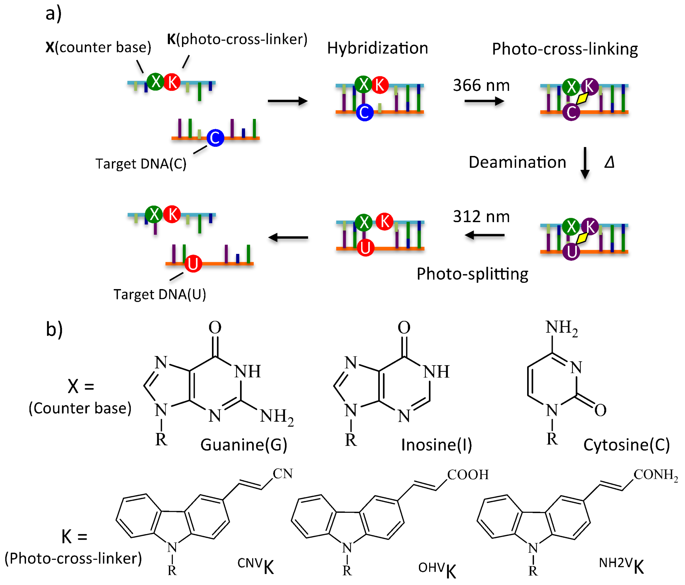 Molecules 23 00828 g001