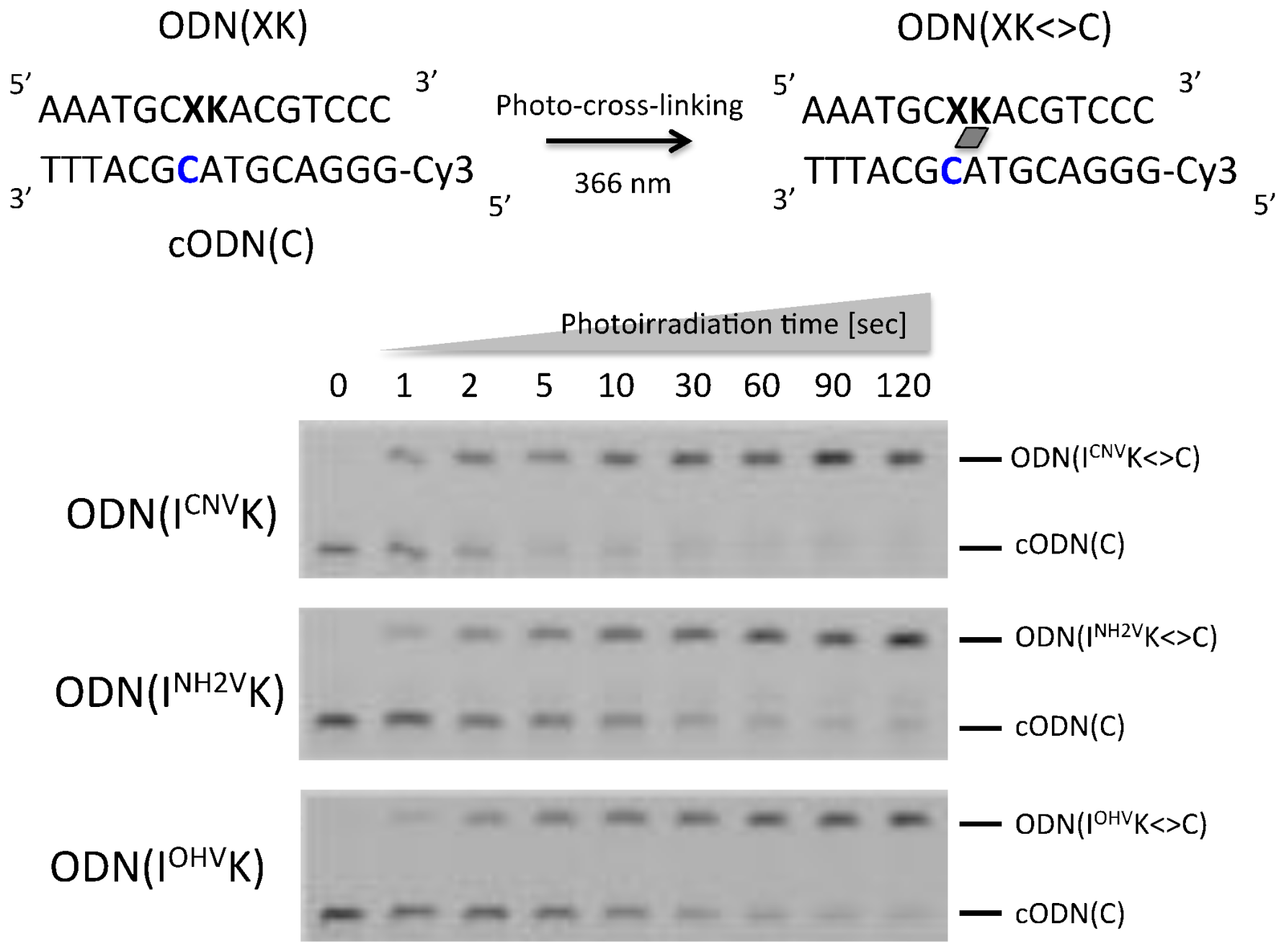 Molecules 23 00828 g002