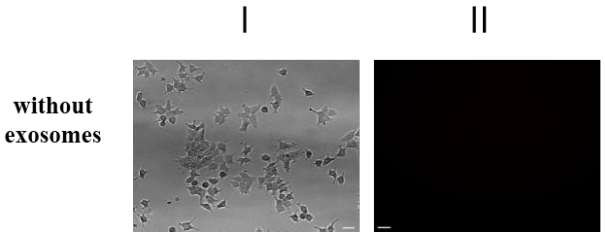 Molecules 23 00829 g003b