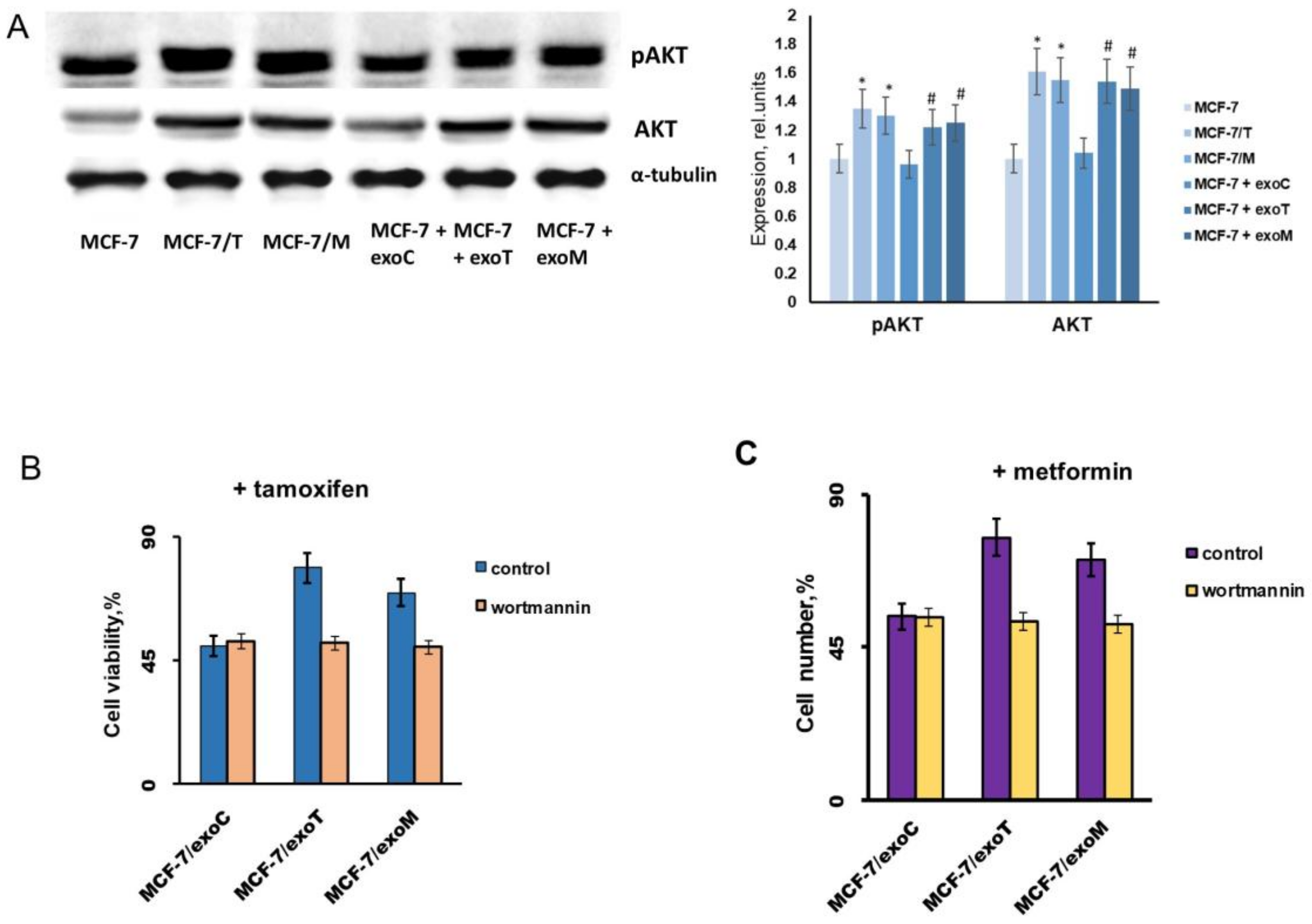 Molecules 23 00829 g010