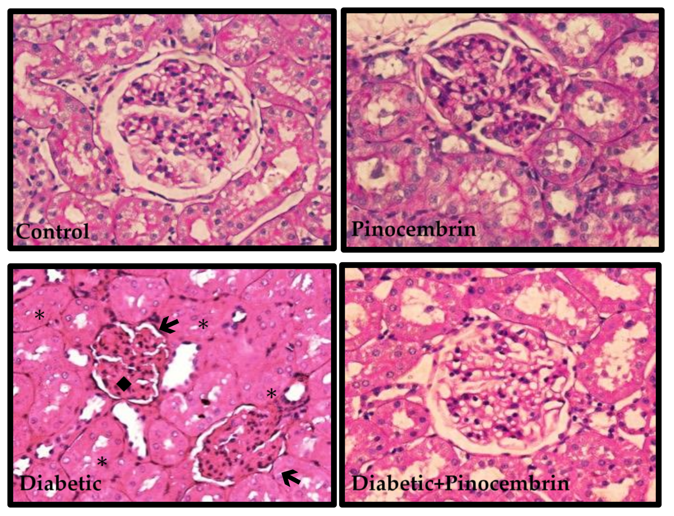 Molecules 23 00852 g004 Molecules 23 00852 g004