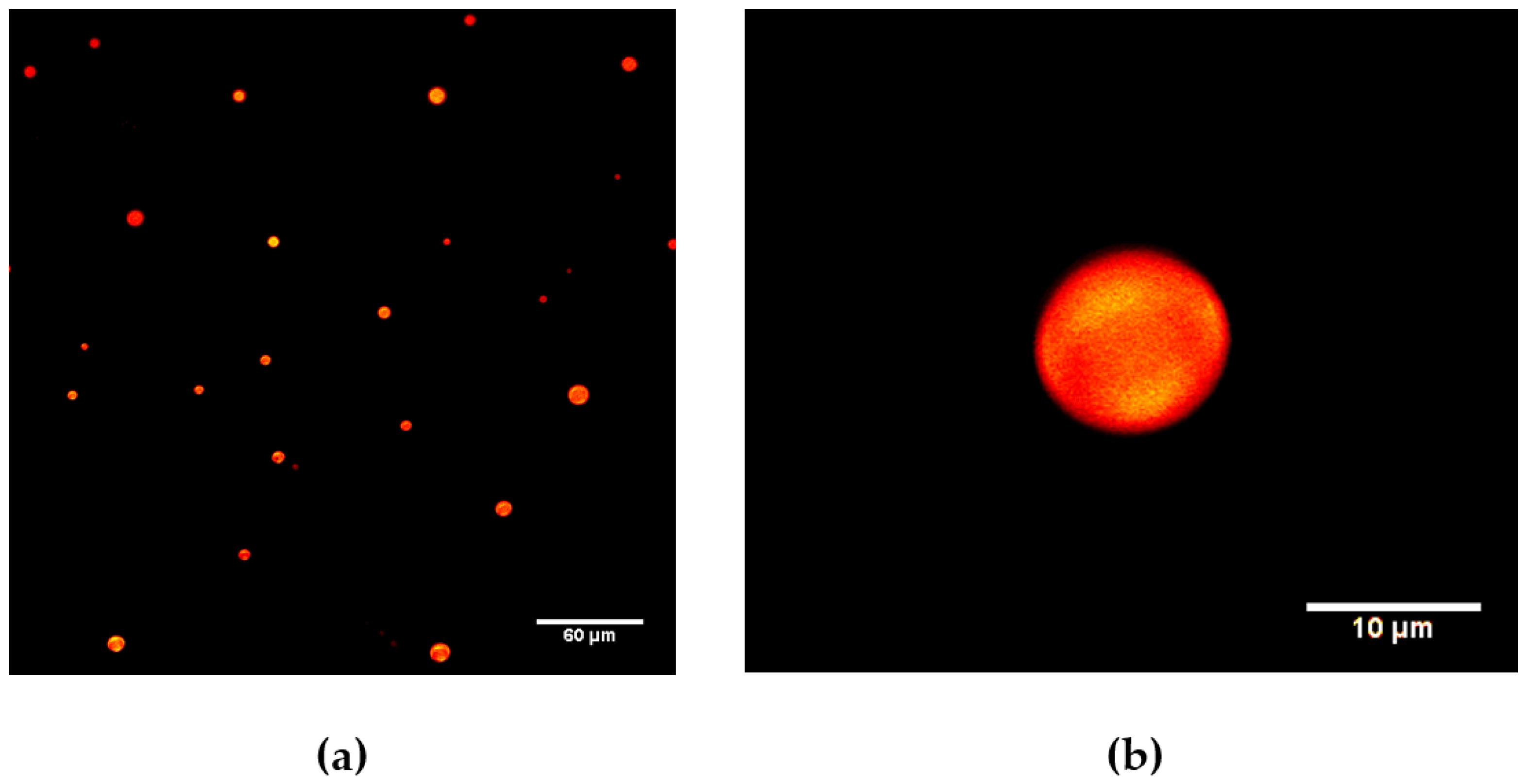 Molecules 23 00969 g002