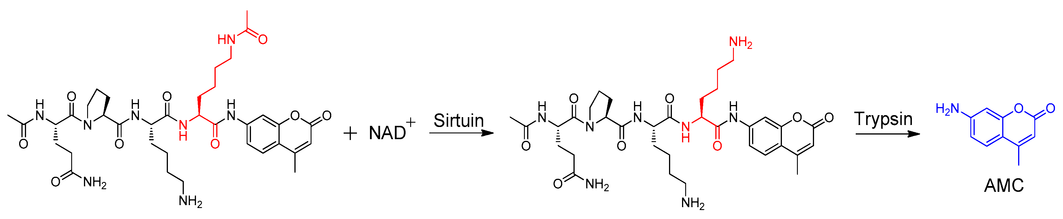 Molecules 23 01063 g002