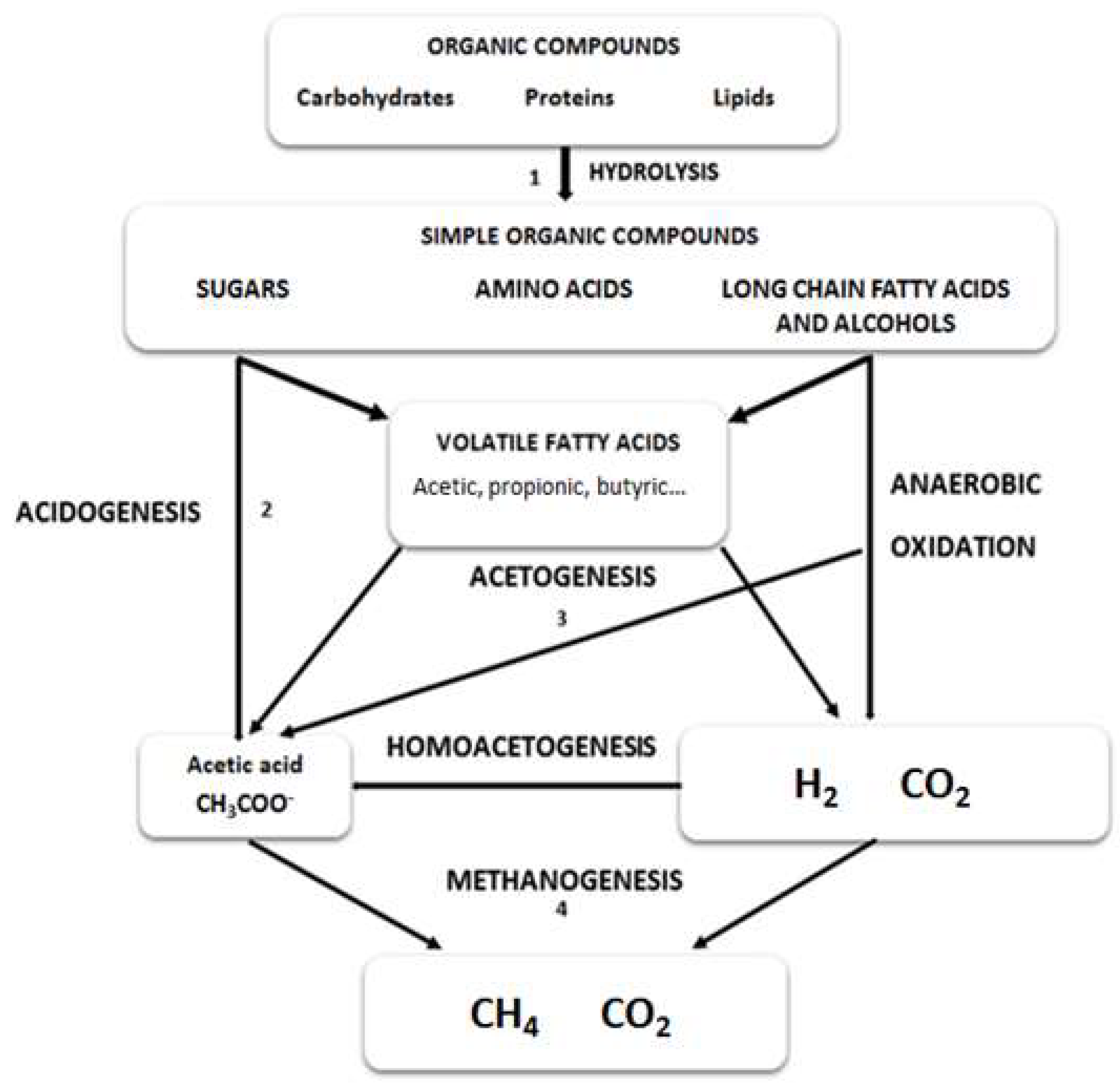 Molecules 23 01098 g001