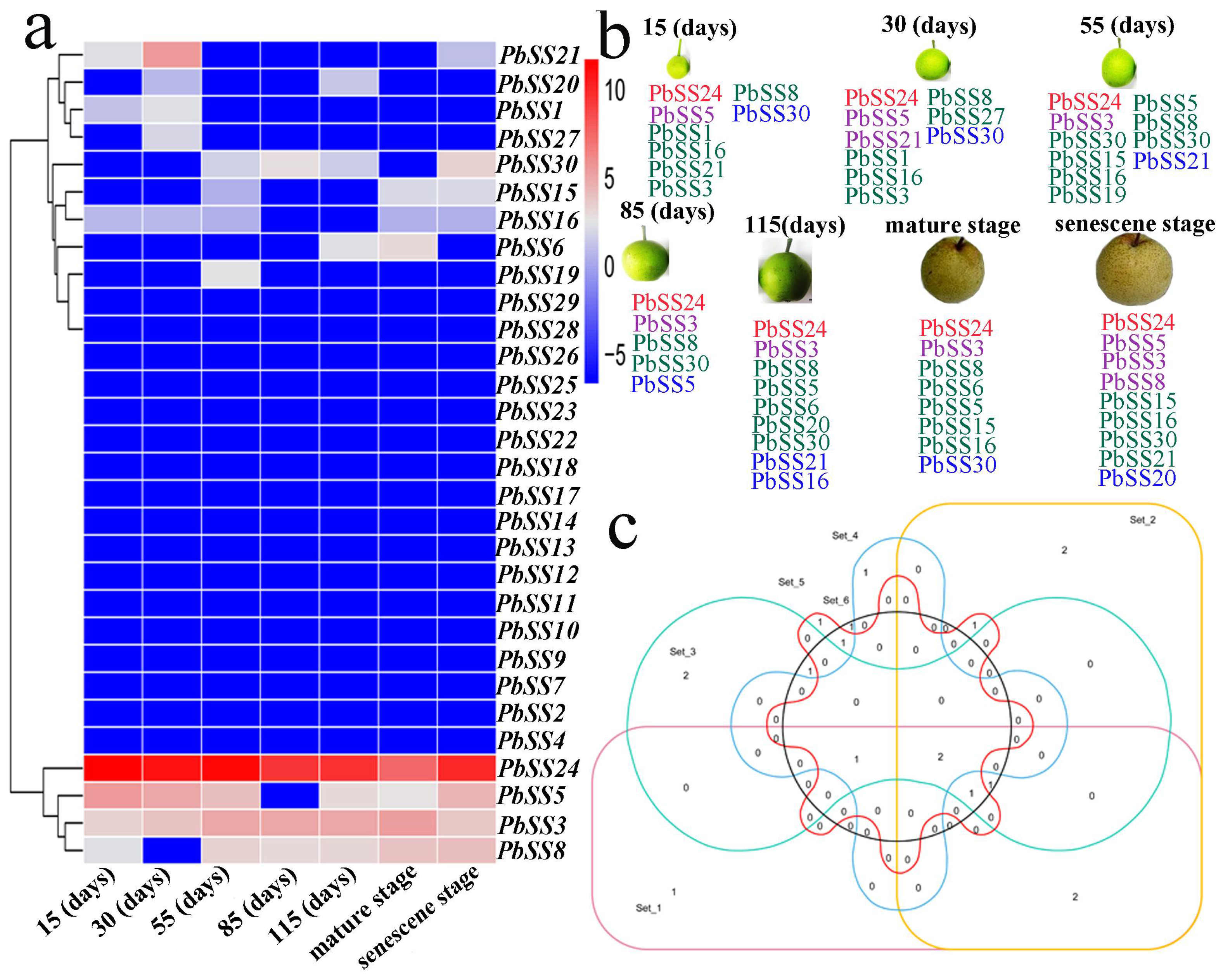 Molecules 23 01144 g006 Molecules 23 01144 g006