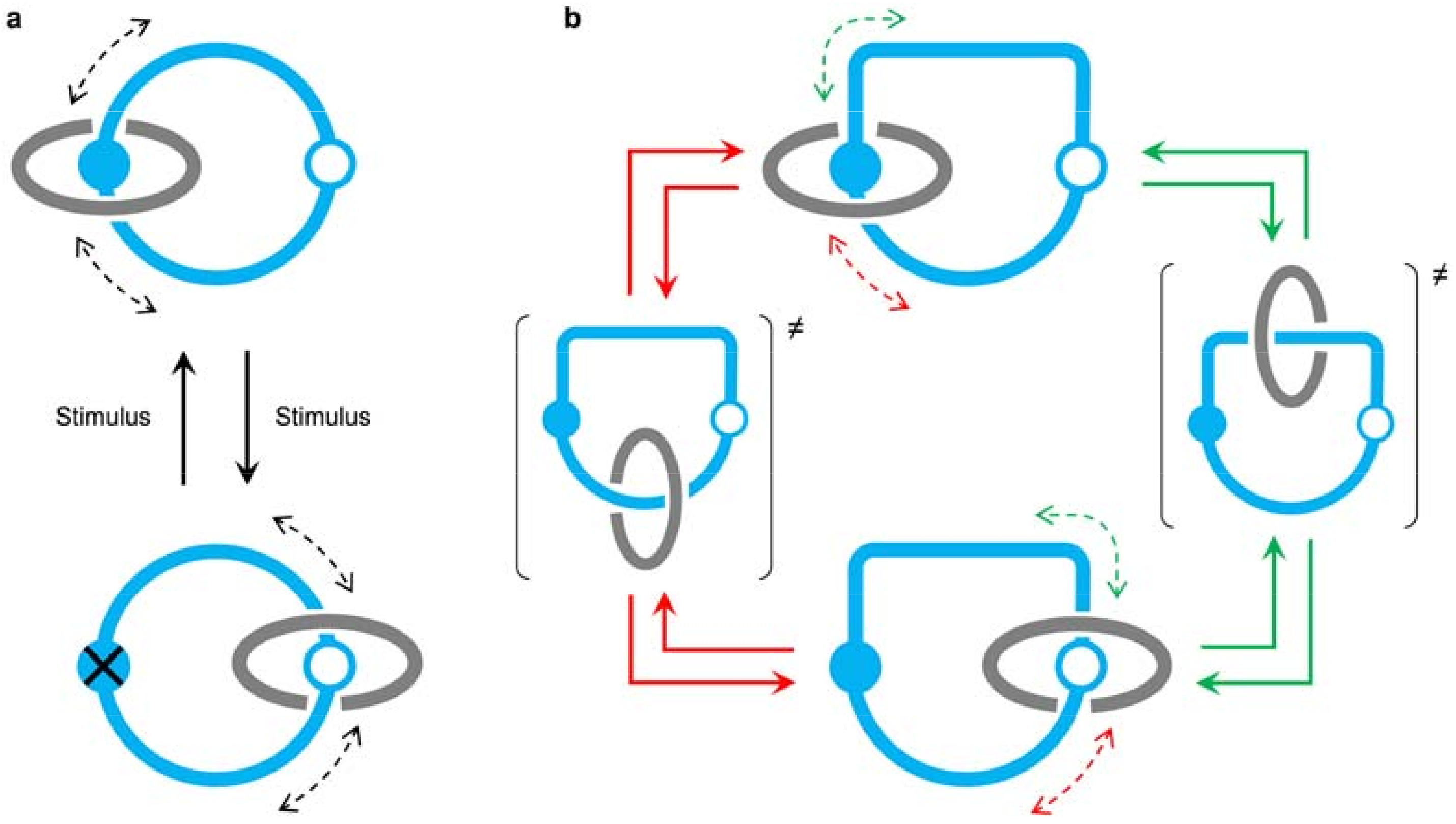 Molecules 23 01156 g001 Molecules 23 01156 g001