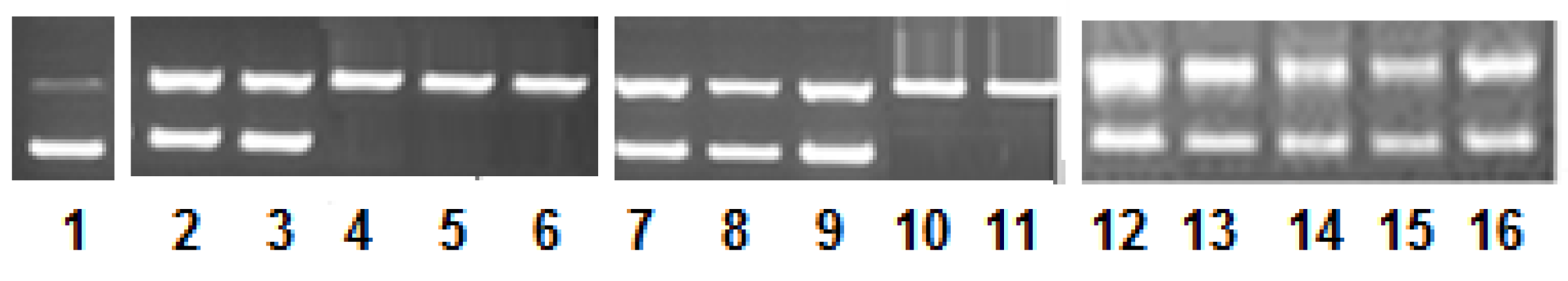 Molecules 23 01232 g005