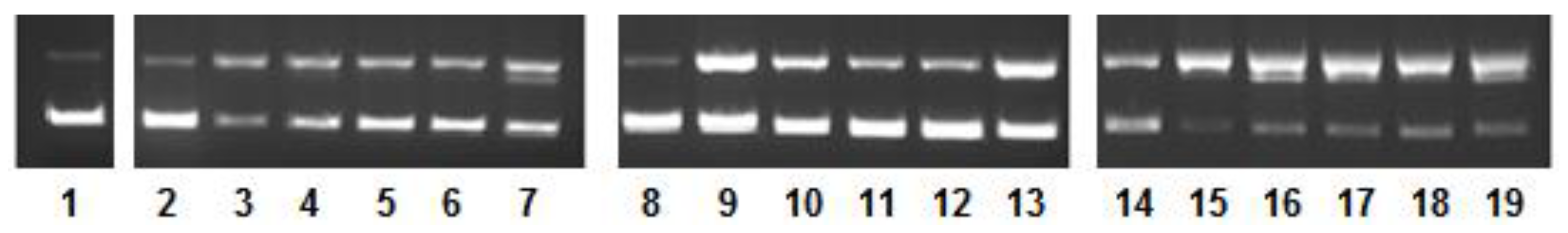 Molecules 23 01232 g006