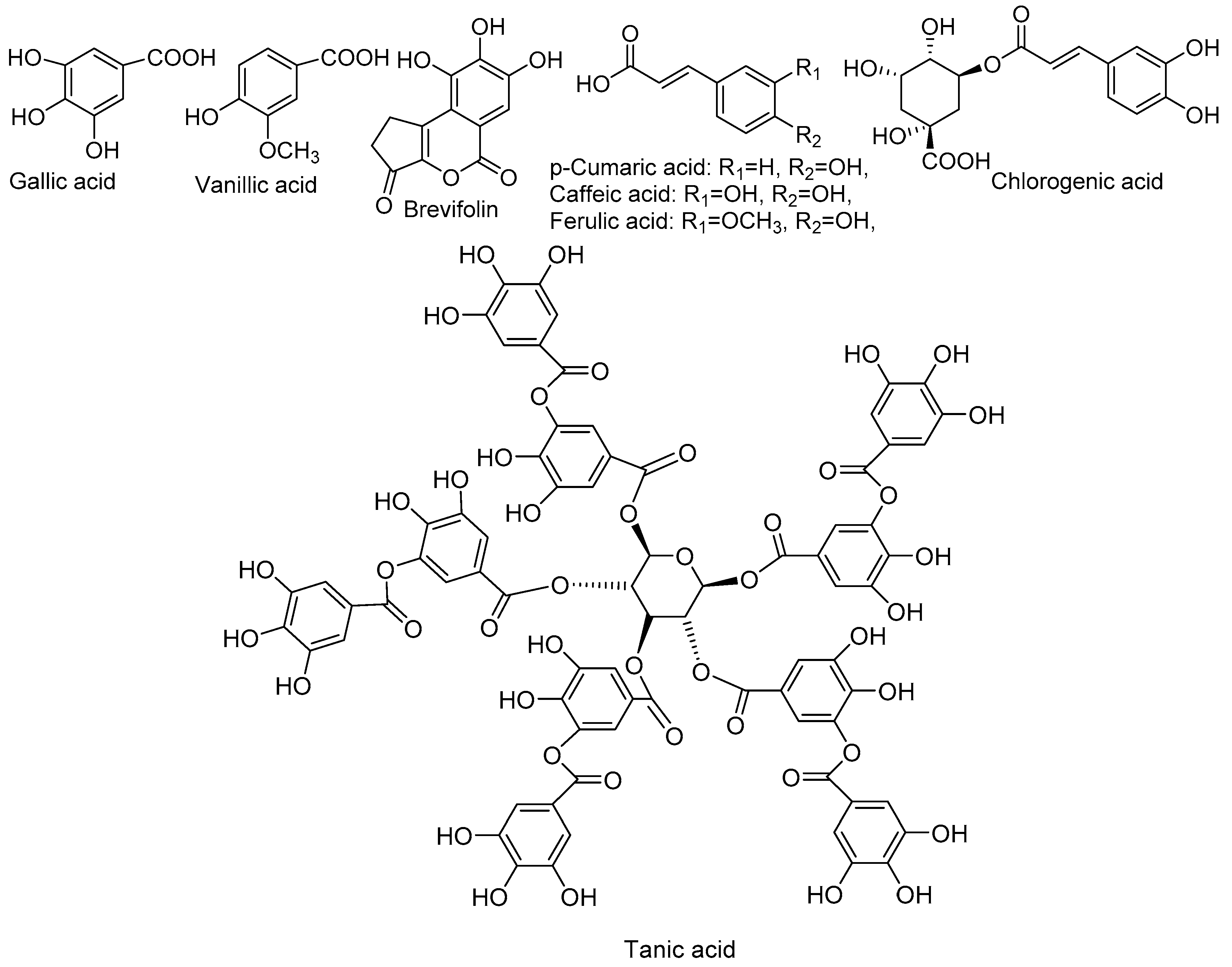 Molecules 23 01247 g004