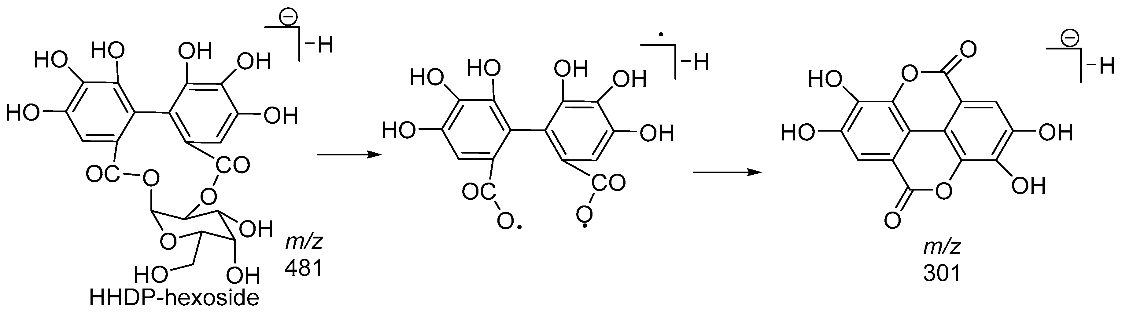 Molecules 23 01247 g008