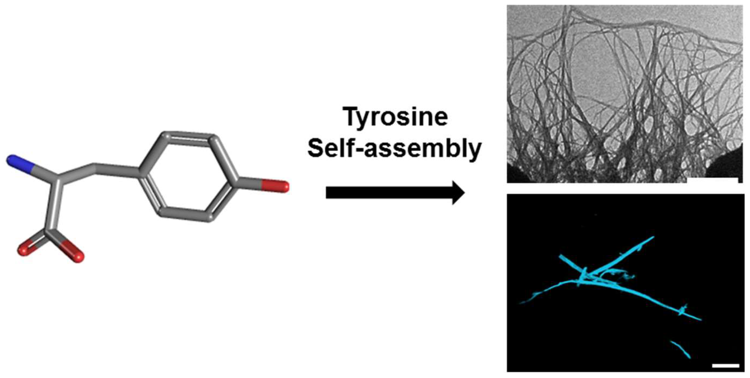 Molecules 23 01273 g001