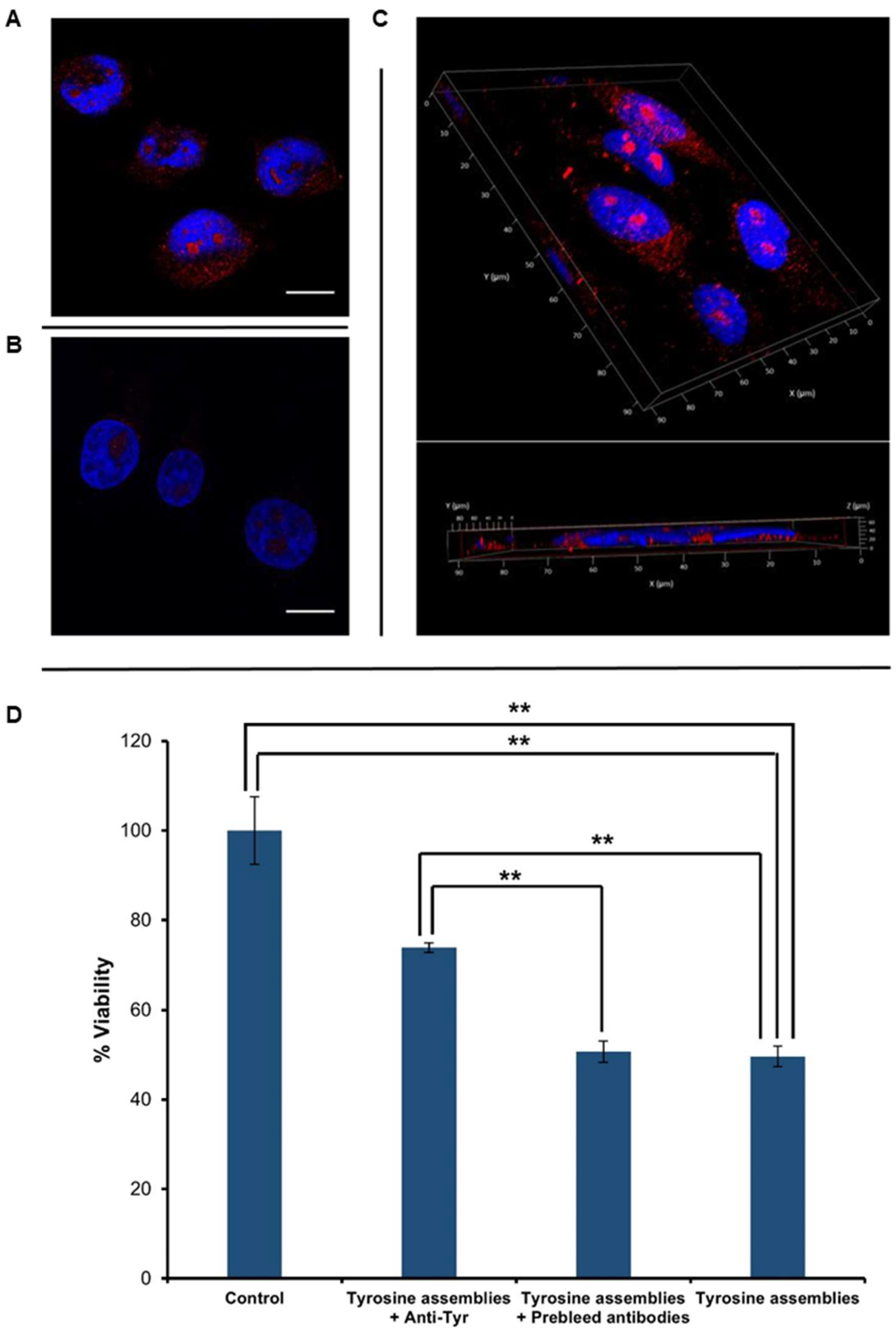 Molecules 23 01273 g003