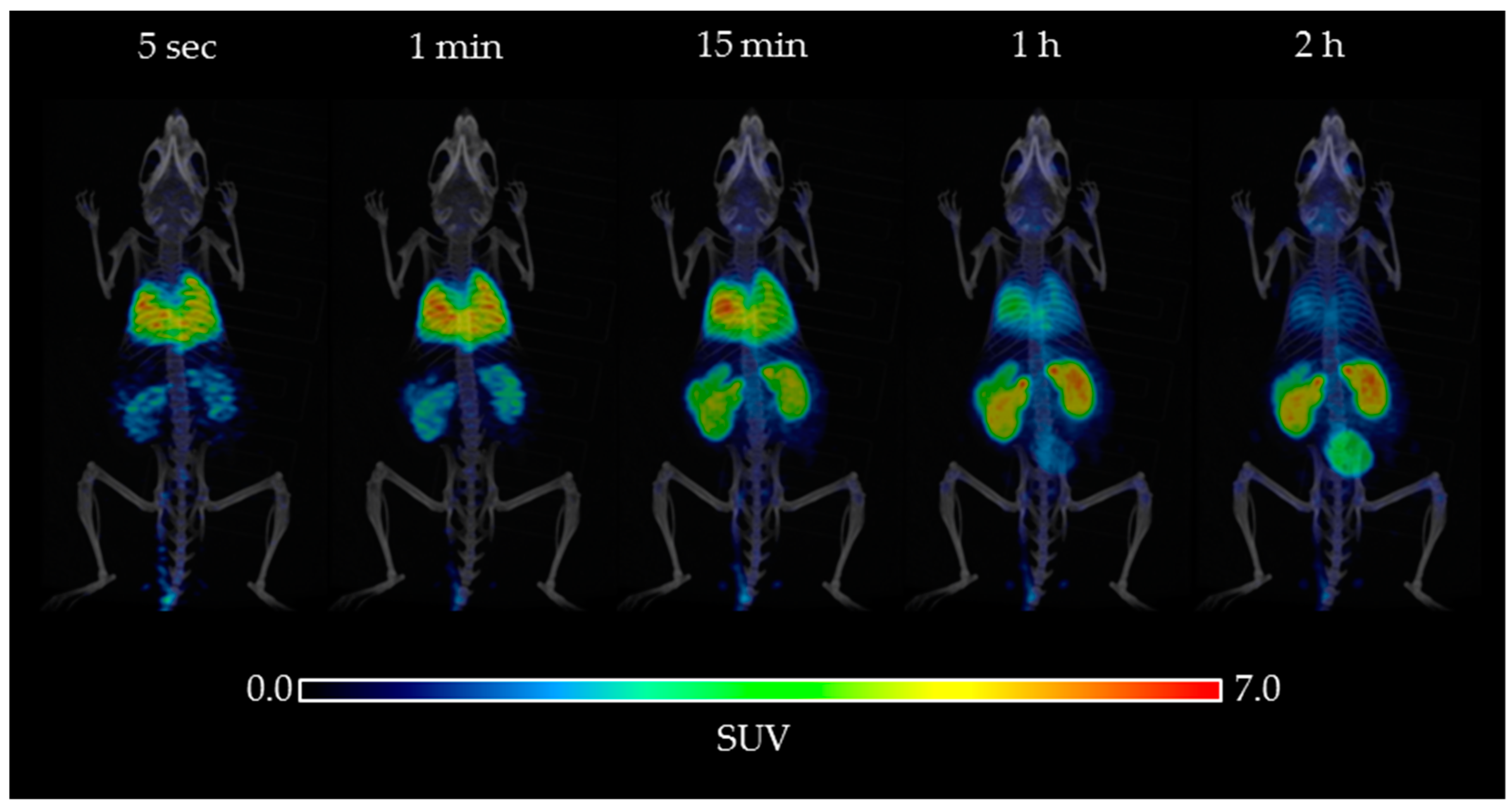 Molecules 23 01375 g004