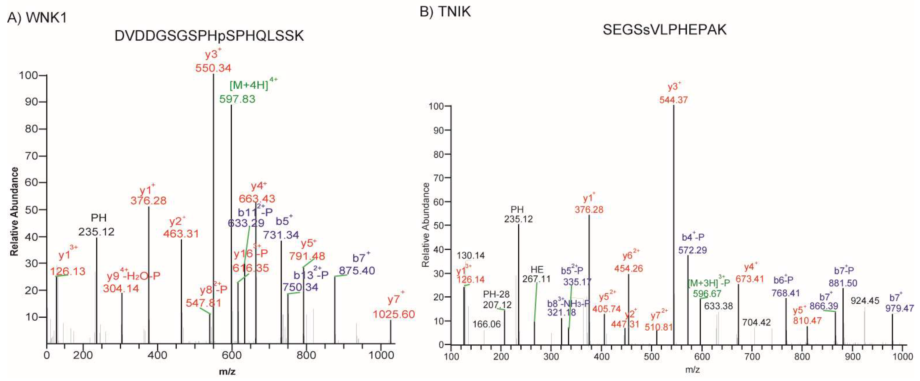 Molecules 23 01454 g004