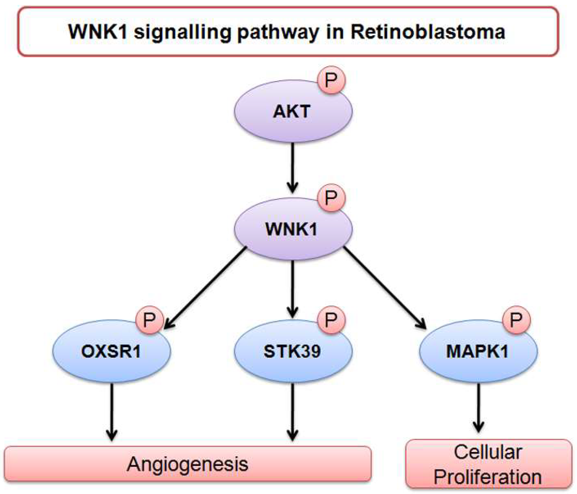 Molecules 23 01454 g005