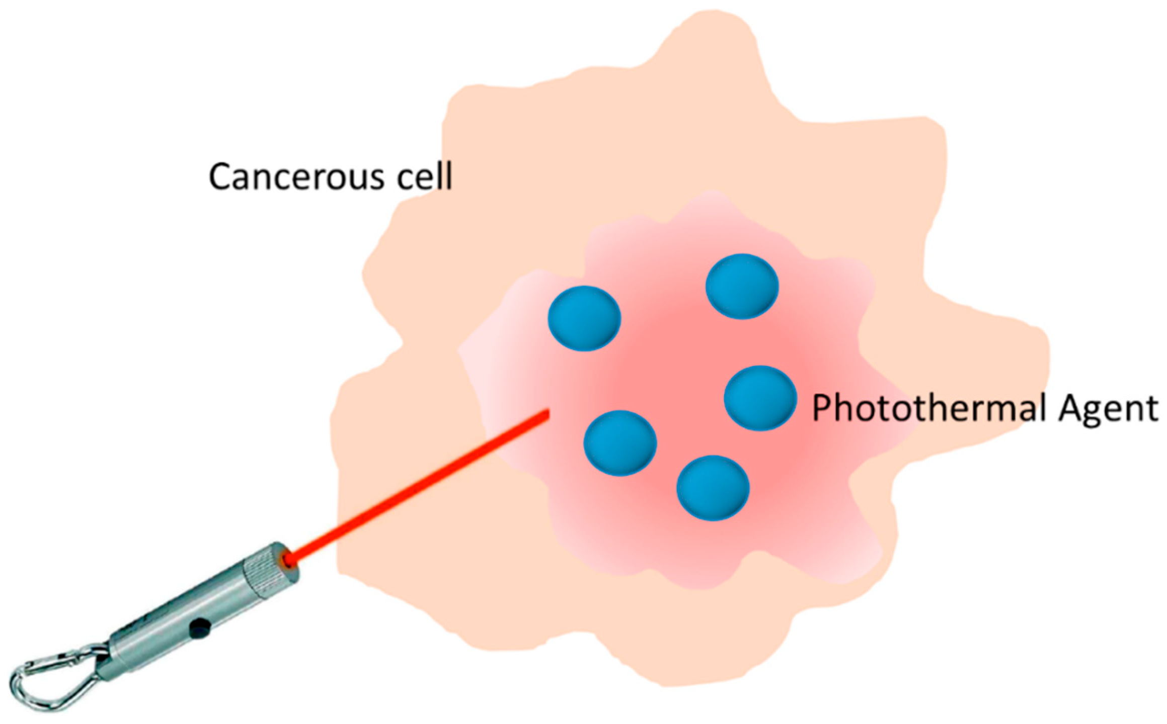 Molecules 23 01567 g001