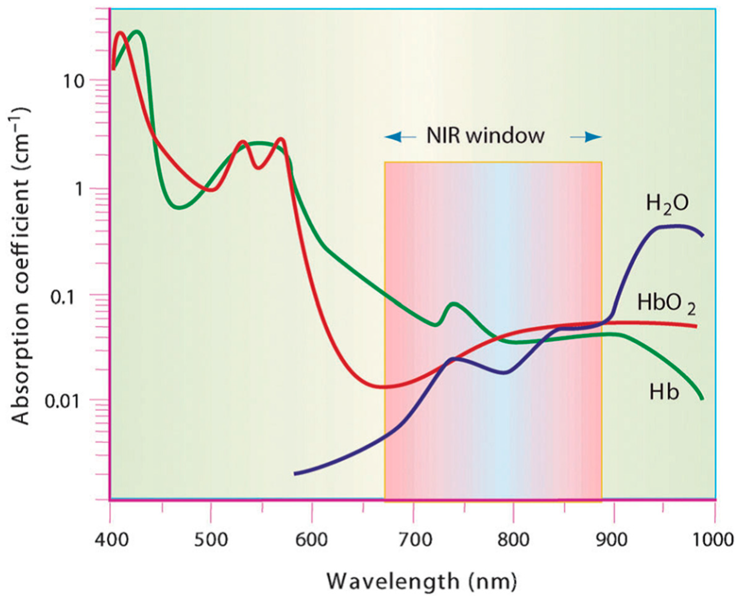 Molecules 23 01567 g002