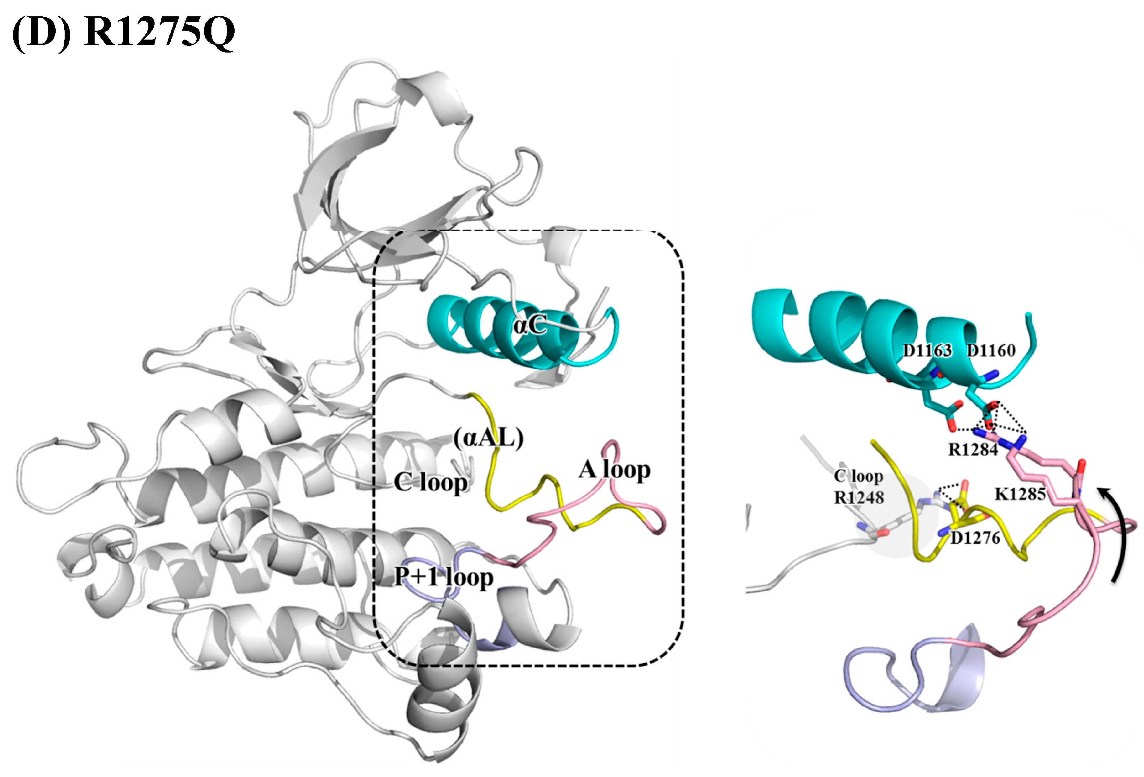 Molecules 23 01610 g005c