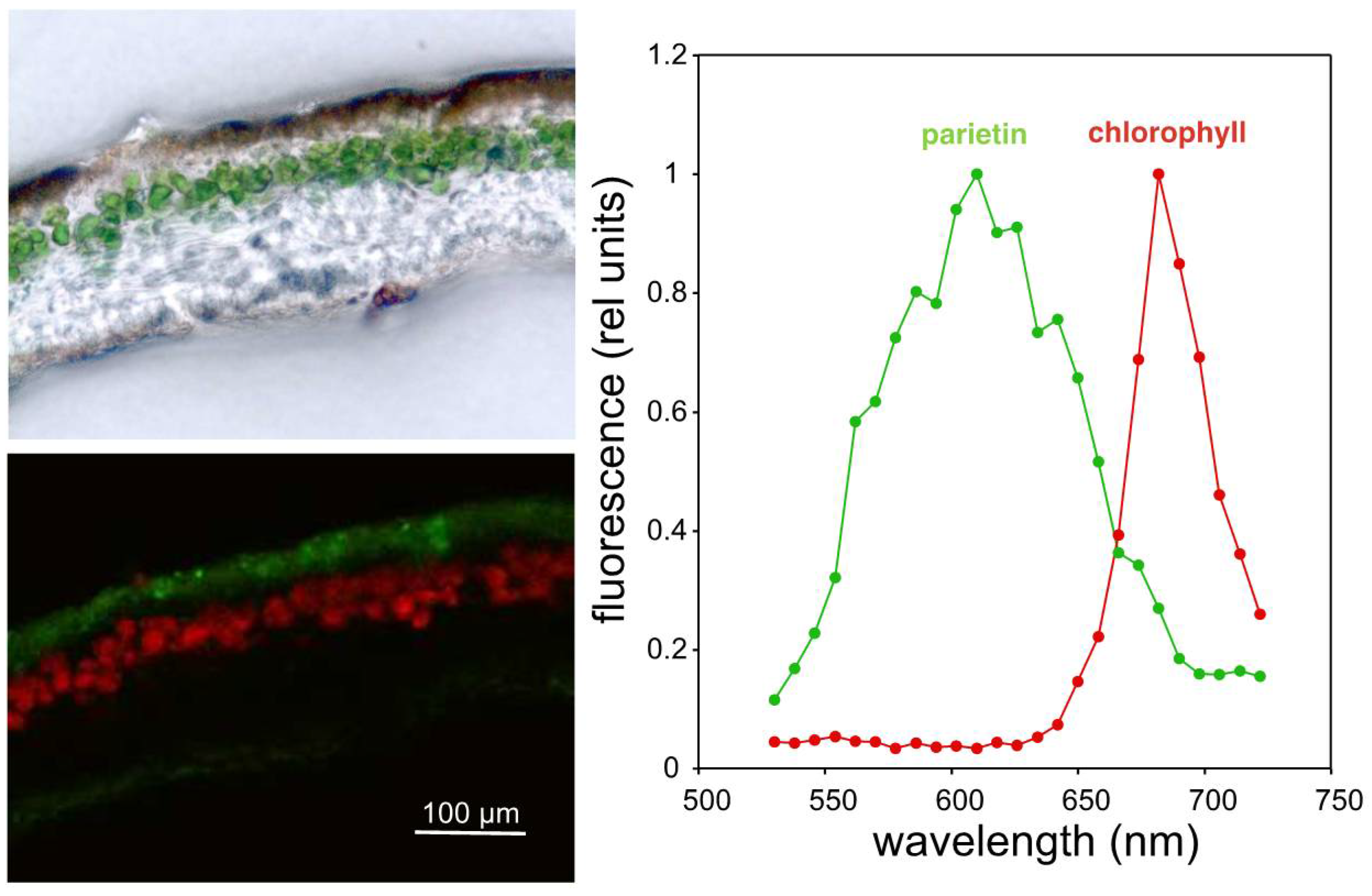 Molecules 23 01741 g002