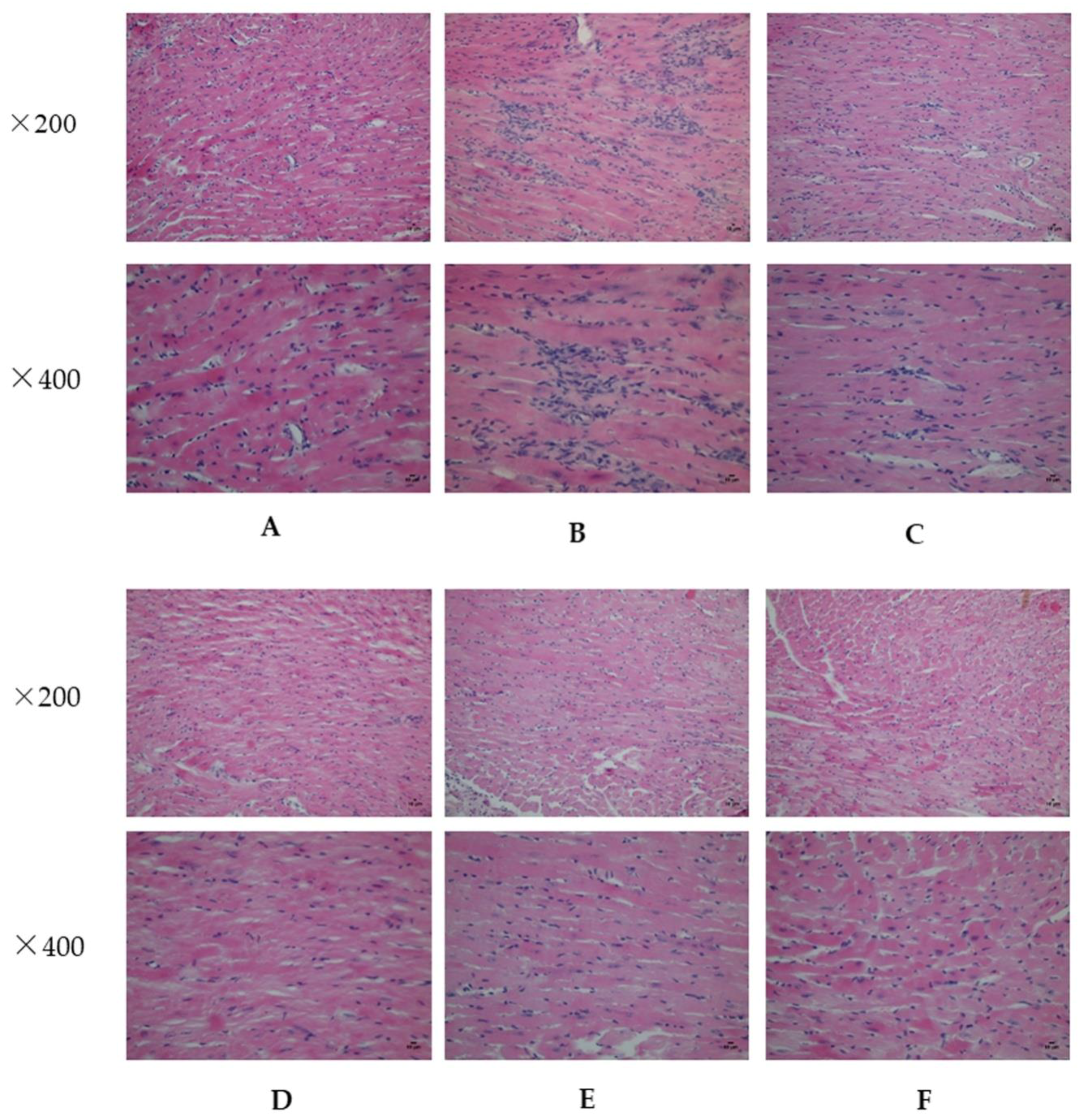 Molecules 23 01829 g001